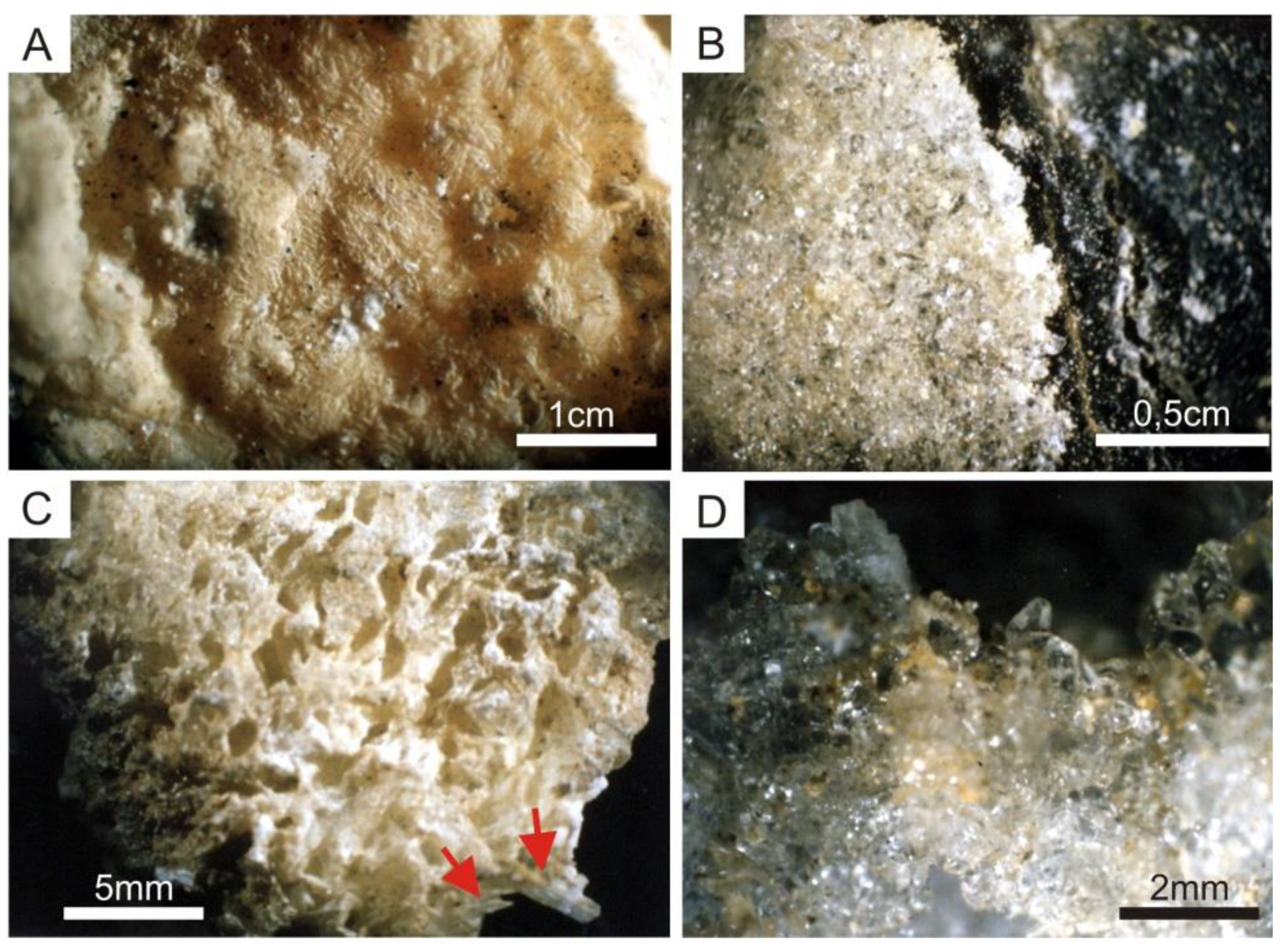 Geosciences 12 00309 g004