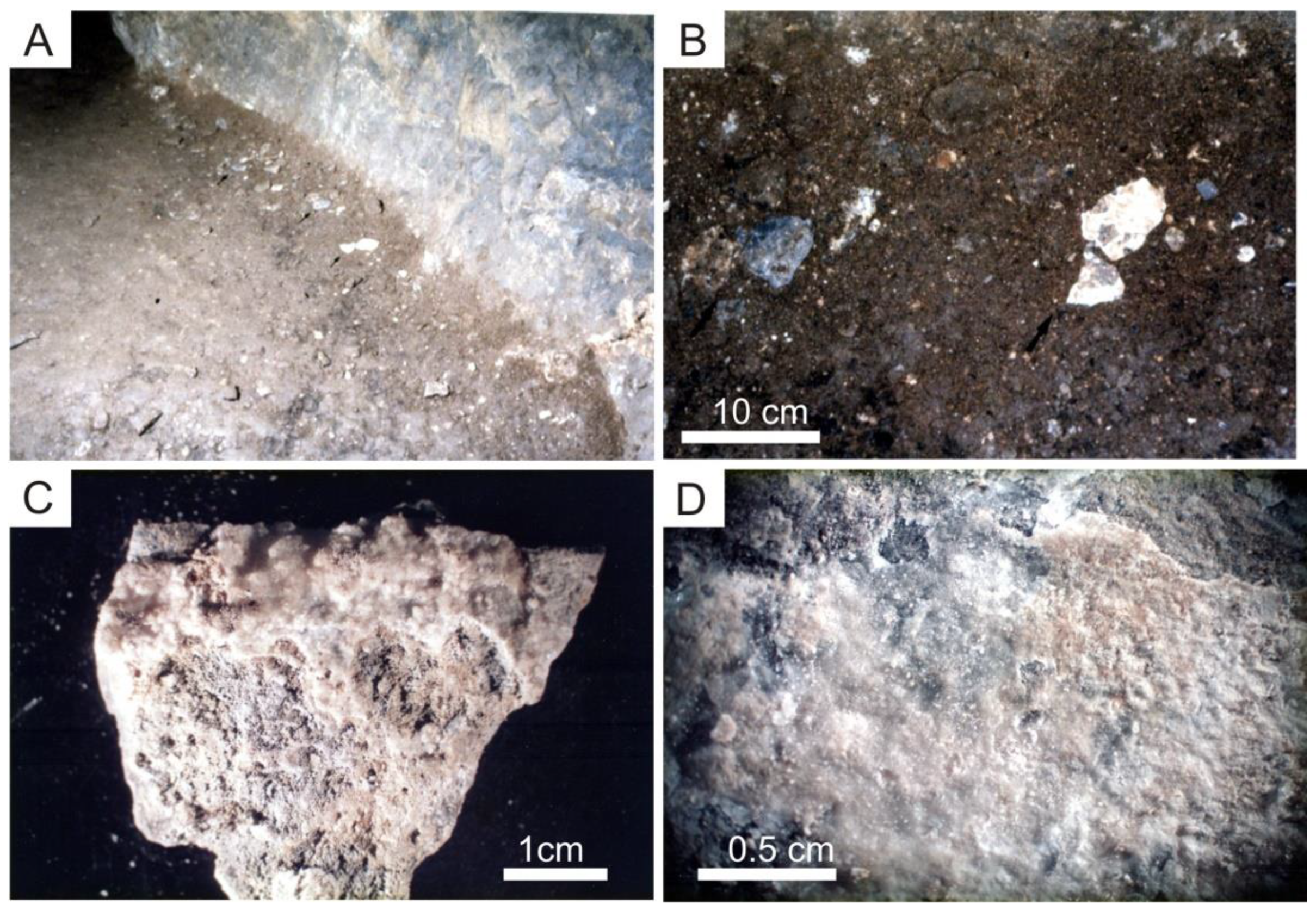 Geosciences 12 00309 g005