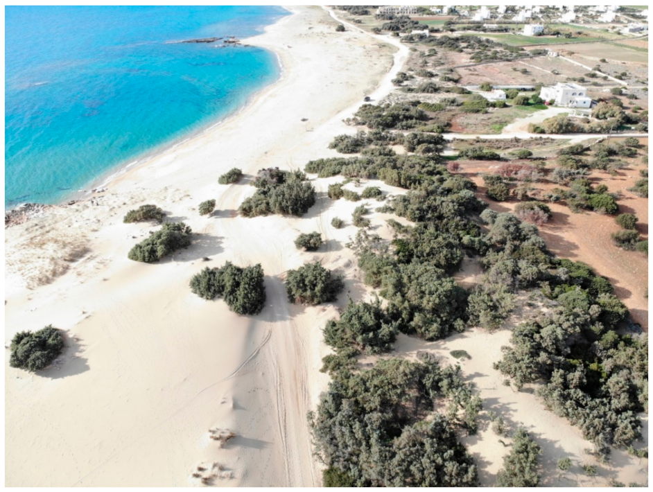 Geosciences 12 00327 g005 550