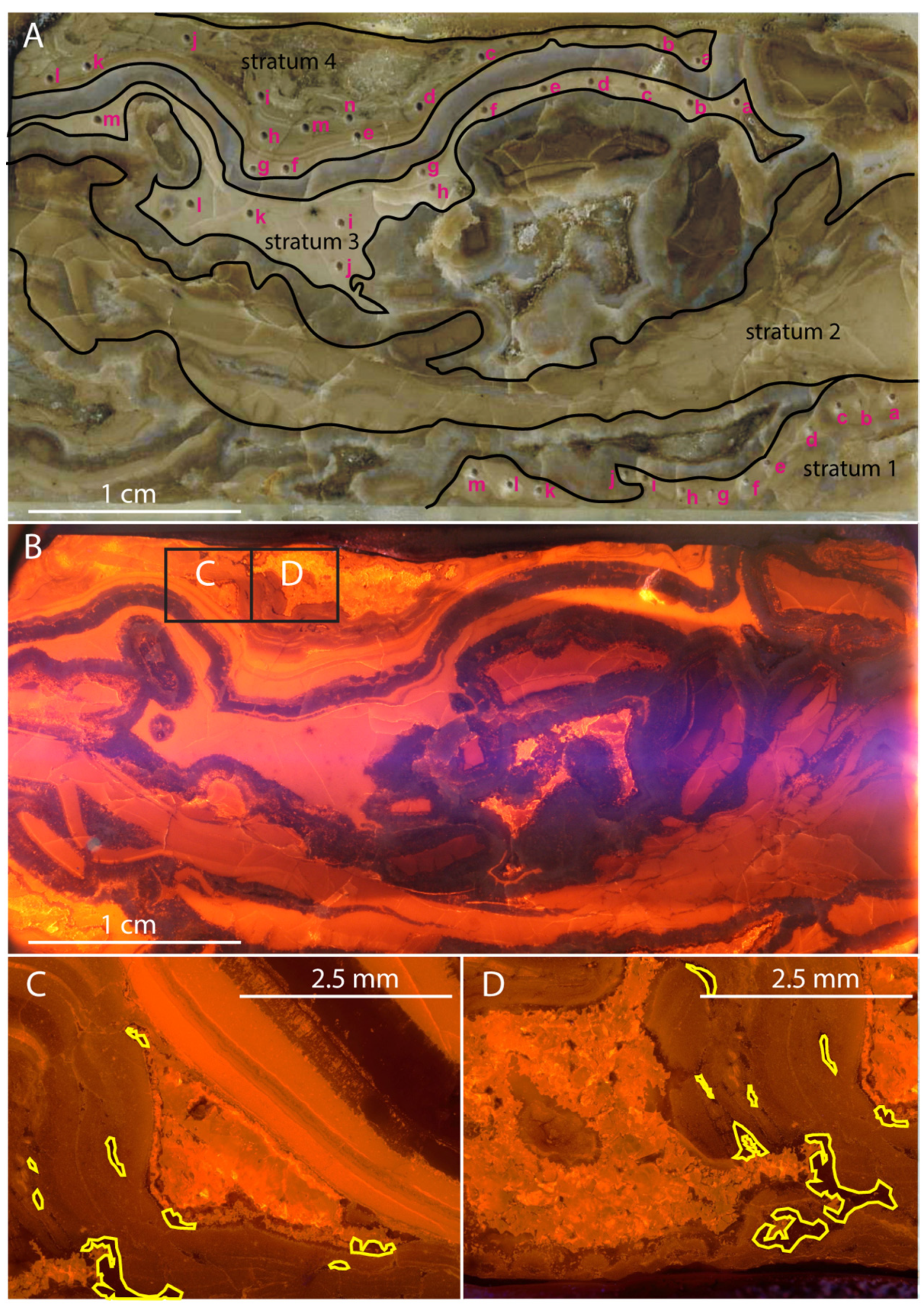 Geosciences 12 00346 g004