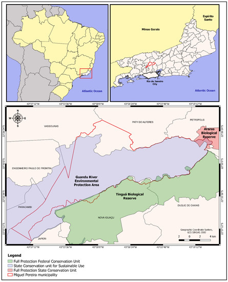 Relatório de Gestão 2019 by Instituto Federal do Rio de Janeiro