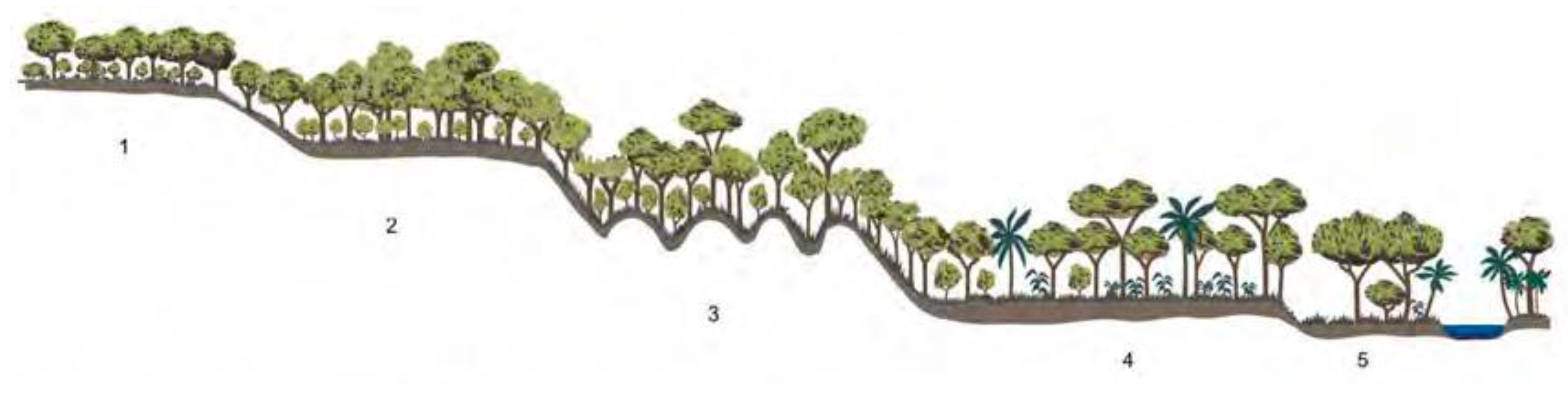 Geosciences 12 00347 g003