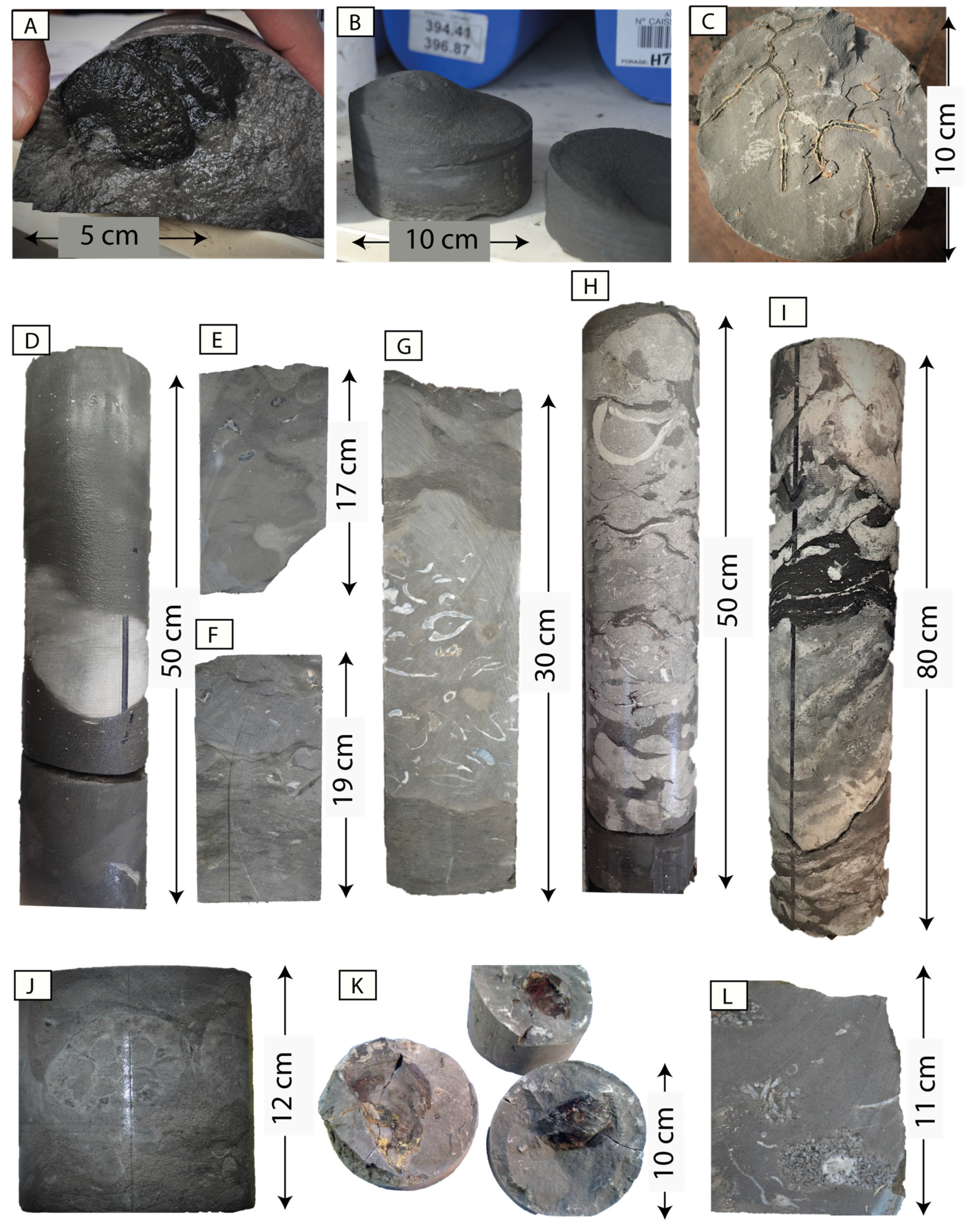 Geosciences 12 00375 g004 Geosciences 12 00375 g004