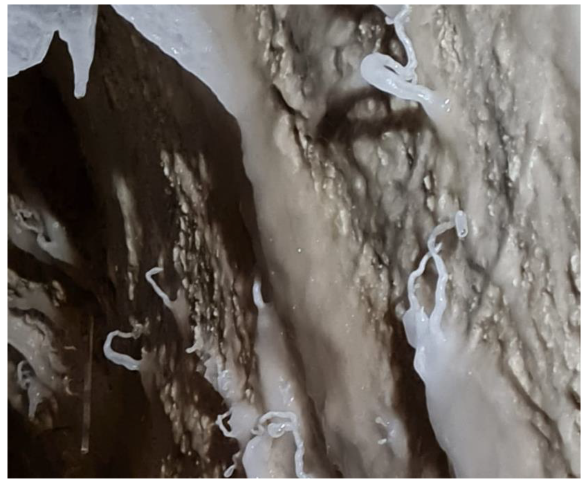 Geosciences 12 00418 g006