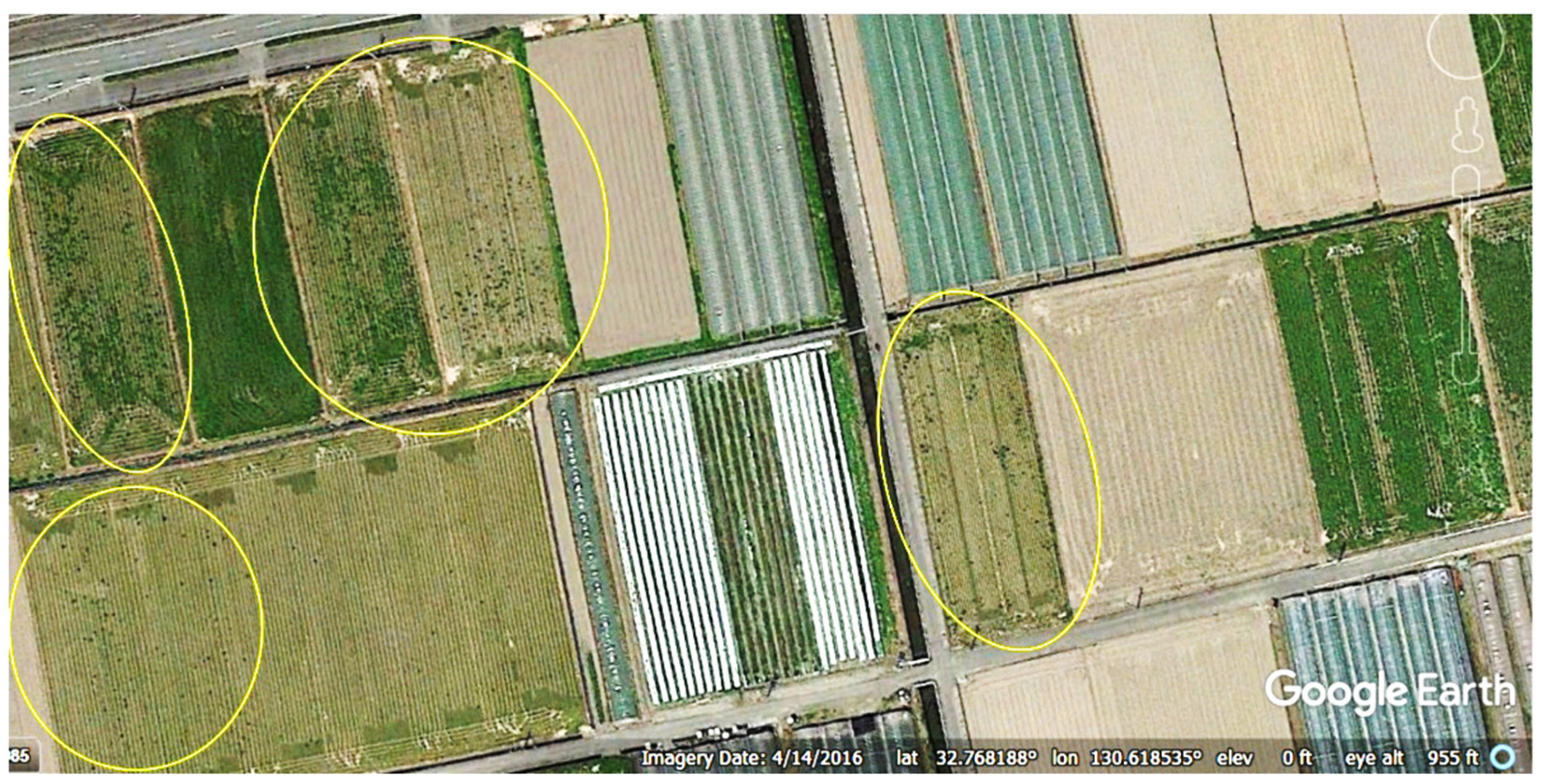 Geosciences 13 00007 g006