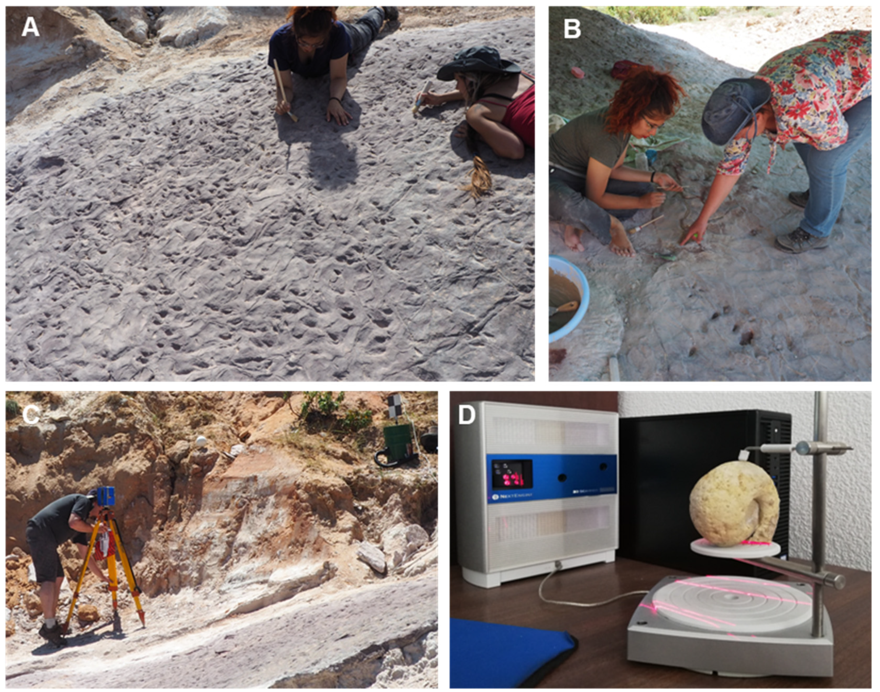 Geosciences 13 00016 g002 Geosciences 13 00016 g002