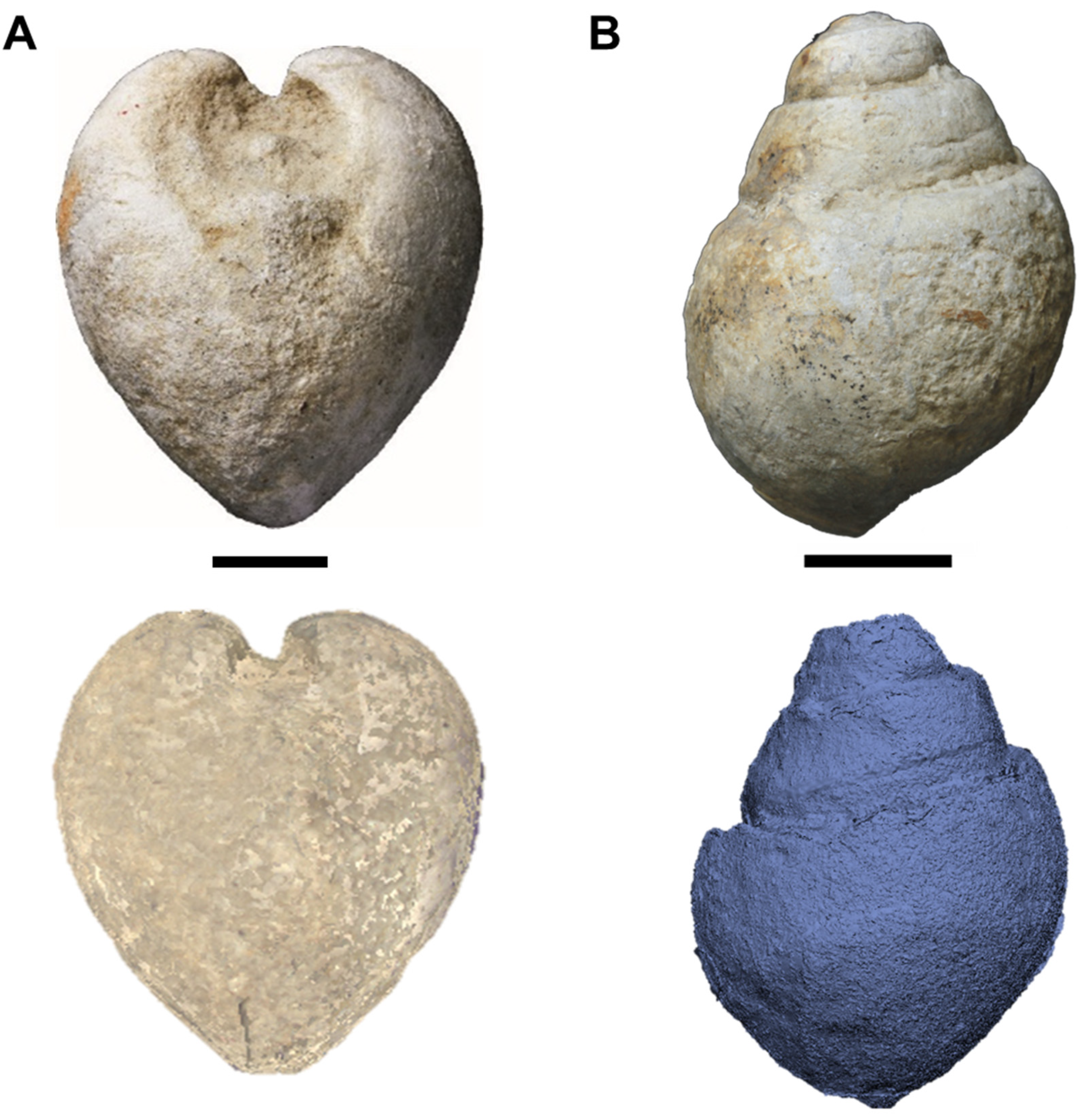 Geosciences 13 00016 g006 Geosciences 13 00016 g006