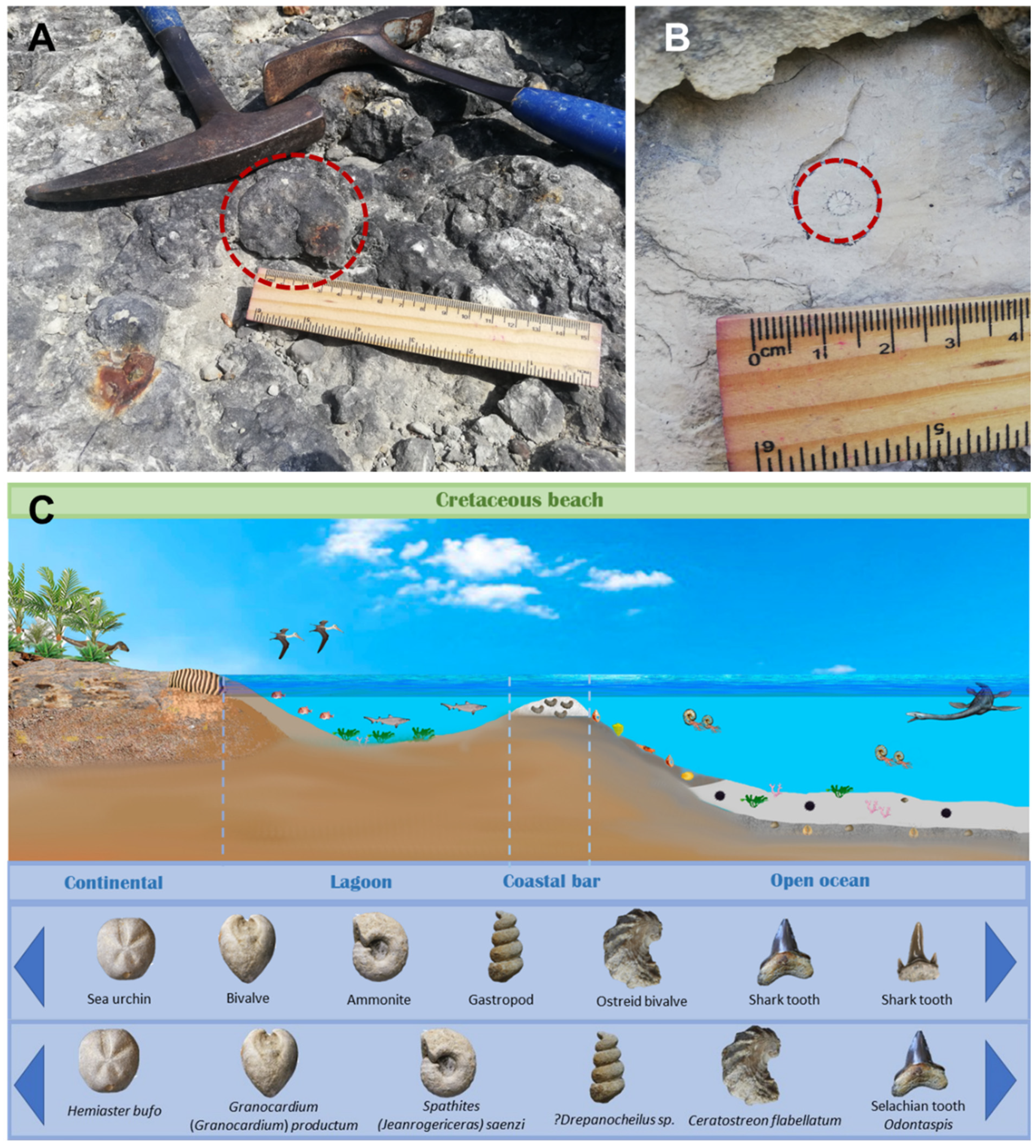 Geosciences 13 00016 g007 Geosciences 13 00016 g007