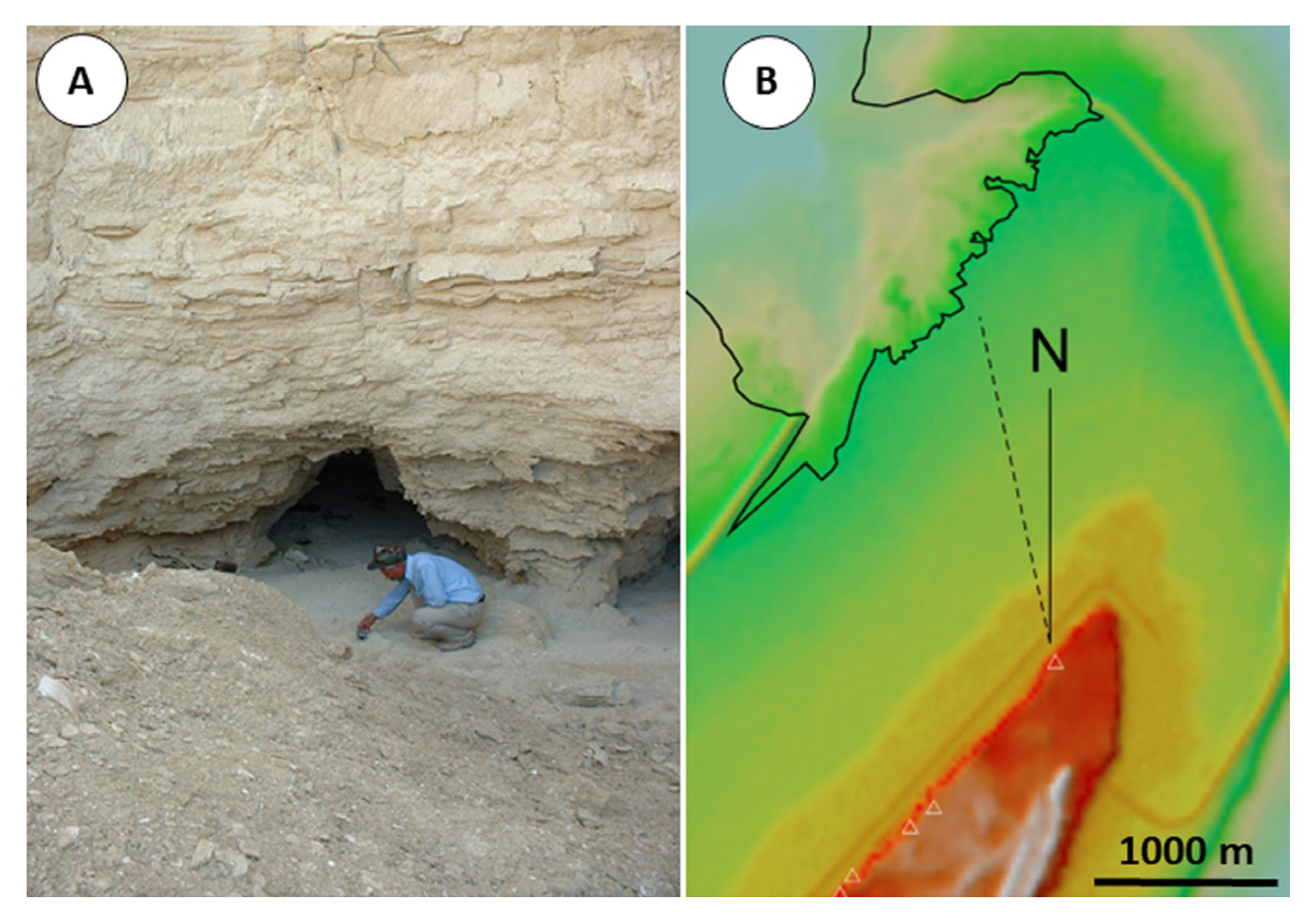 Geosciences 13 00042 g006