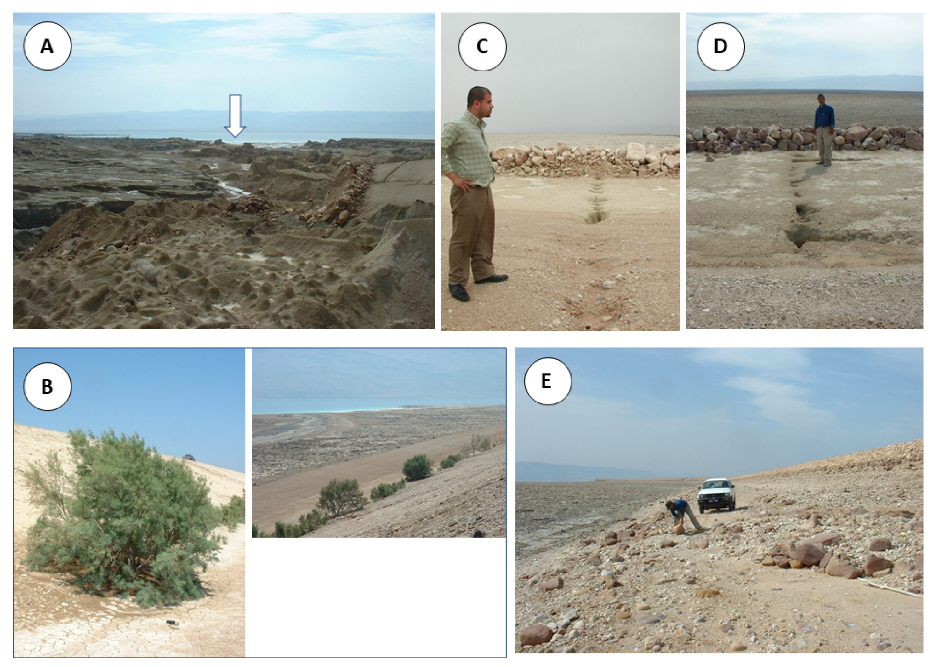 Geosciences 13 00042 g007