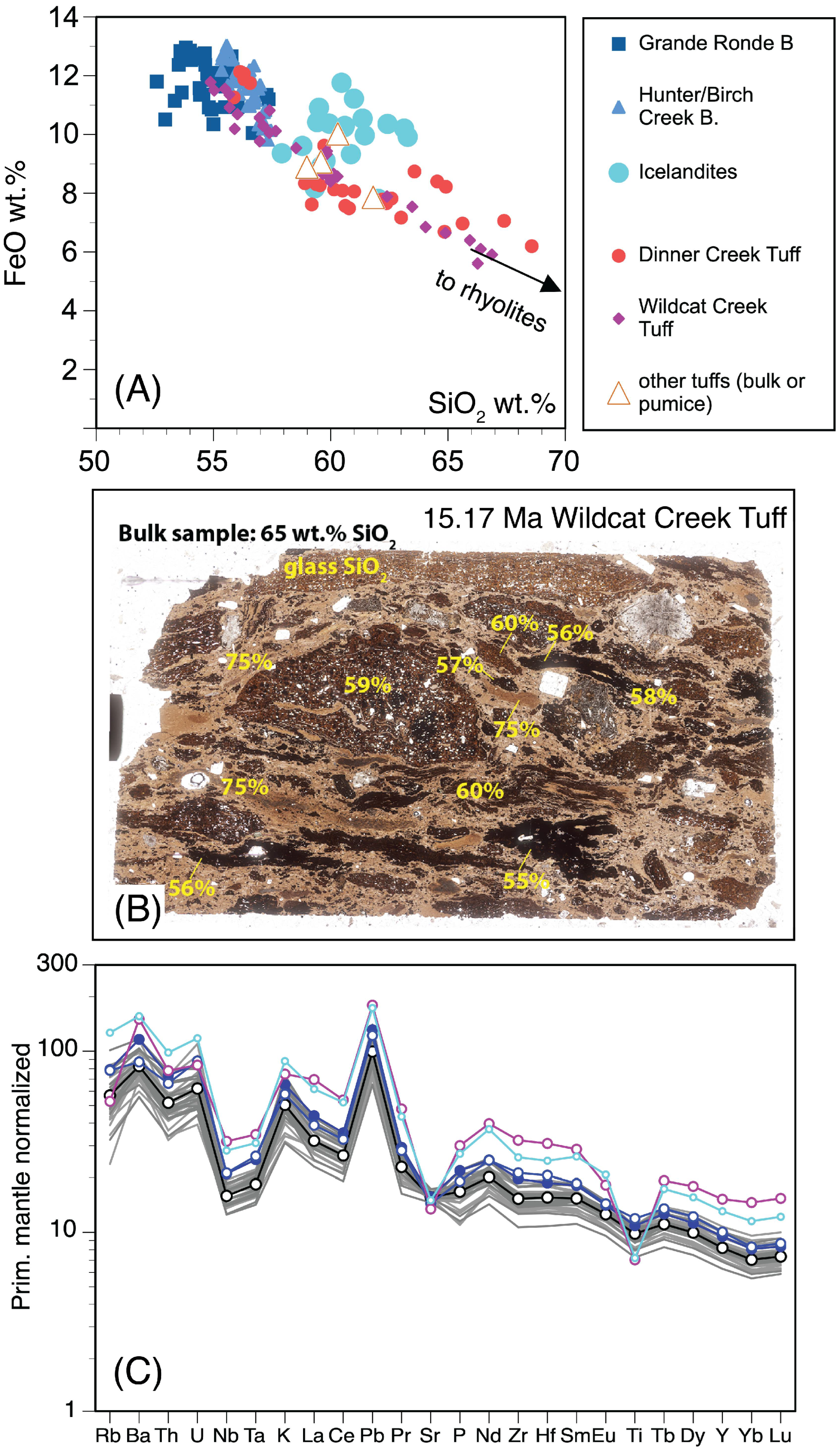 Geosciences 13 00046 g009 Geosciences 13 00046 g009