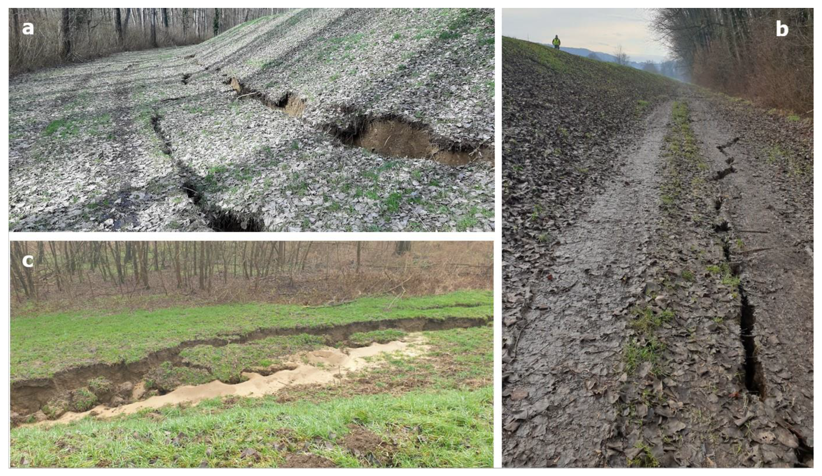 Geosciences 13 00048 g009 Geosciences 13 00048 g009