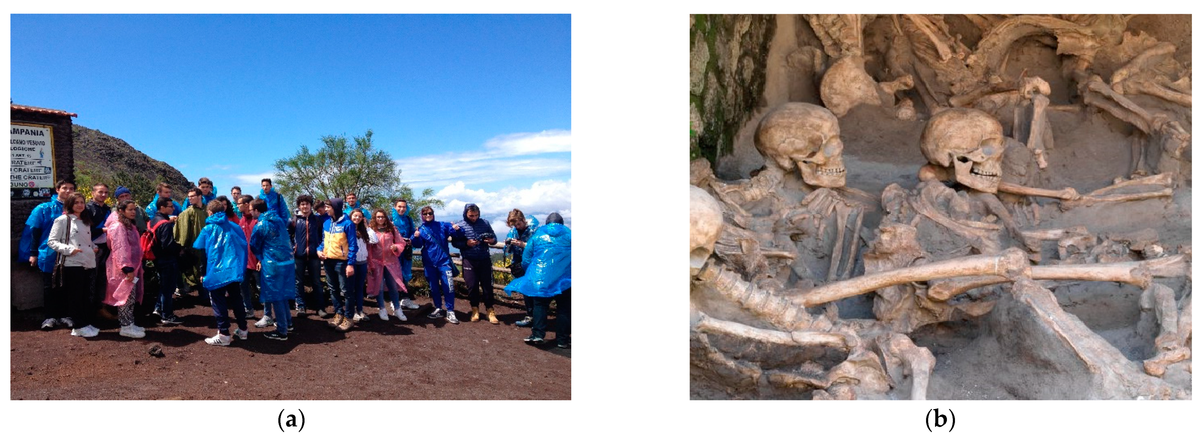 Geosciences 13 00050 g005 550