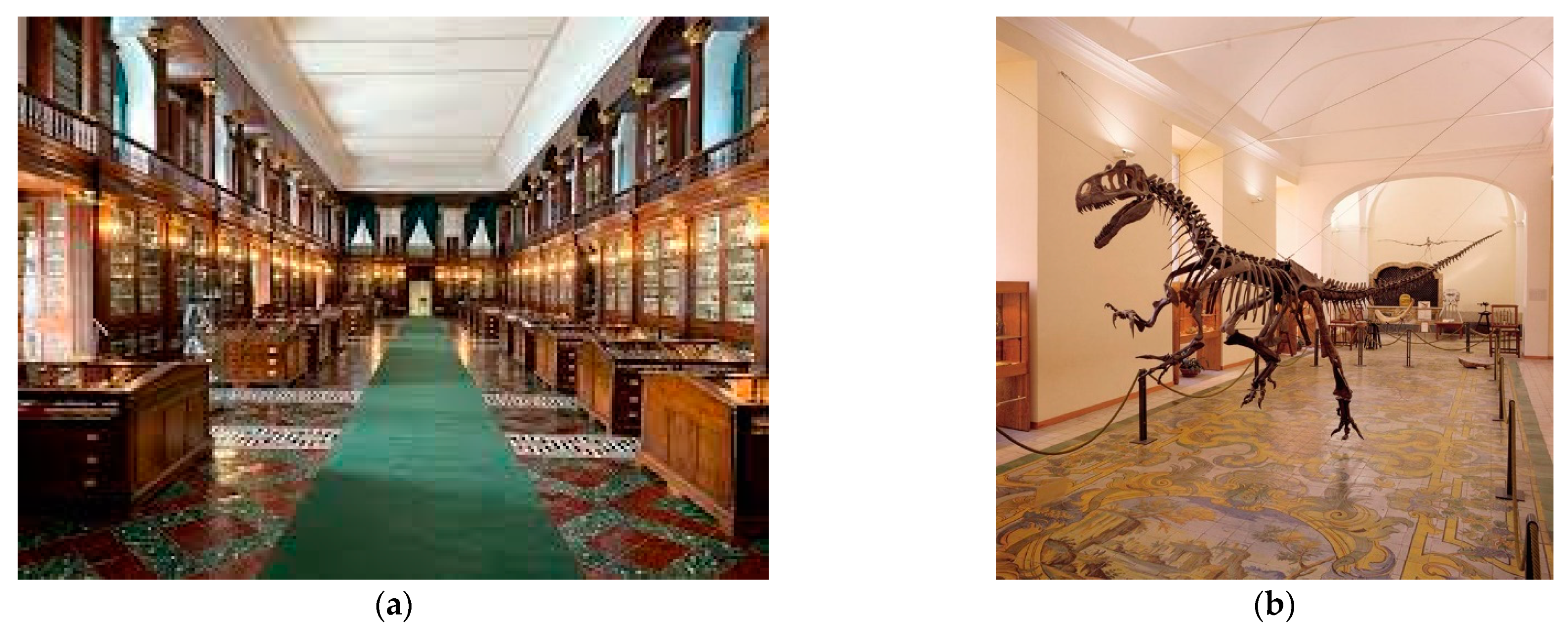 Geosciences 13 00050 g010 550