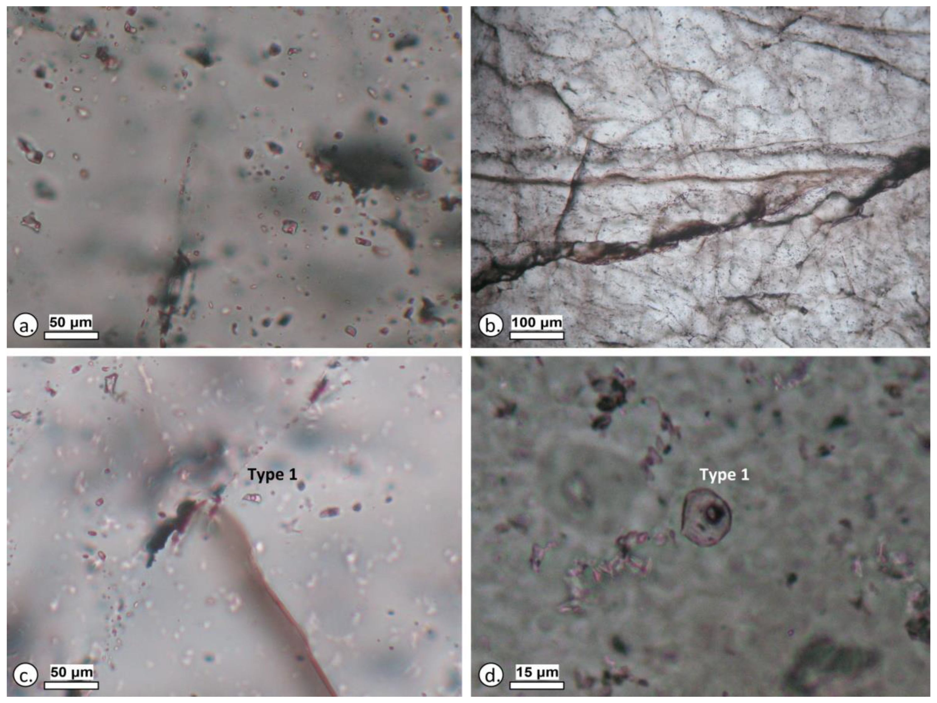 Geosciences 13 00061 g013 Geosciences 13 00061 g013