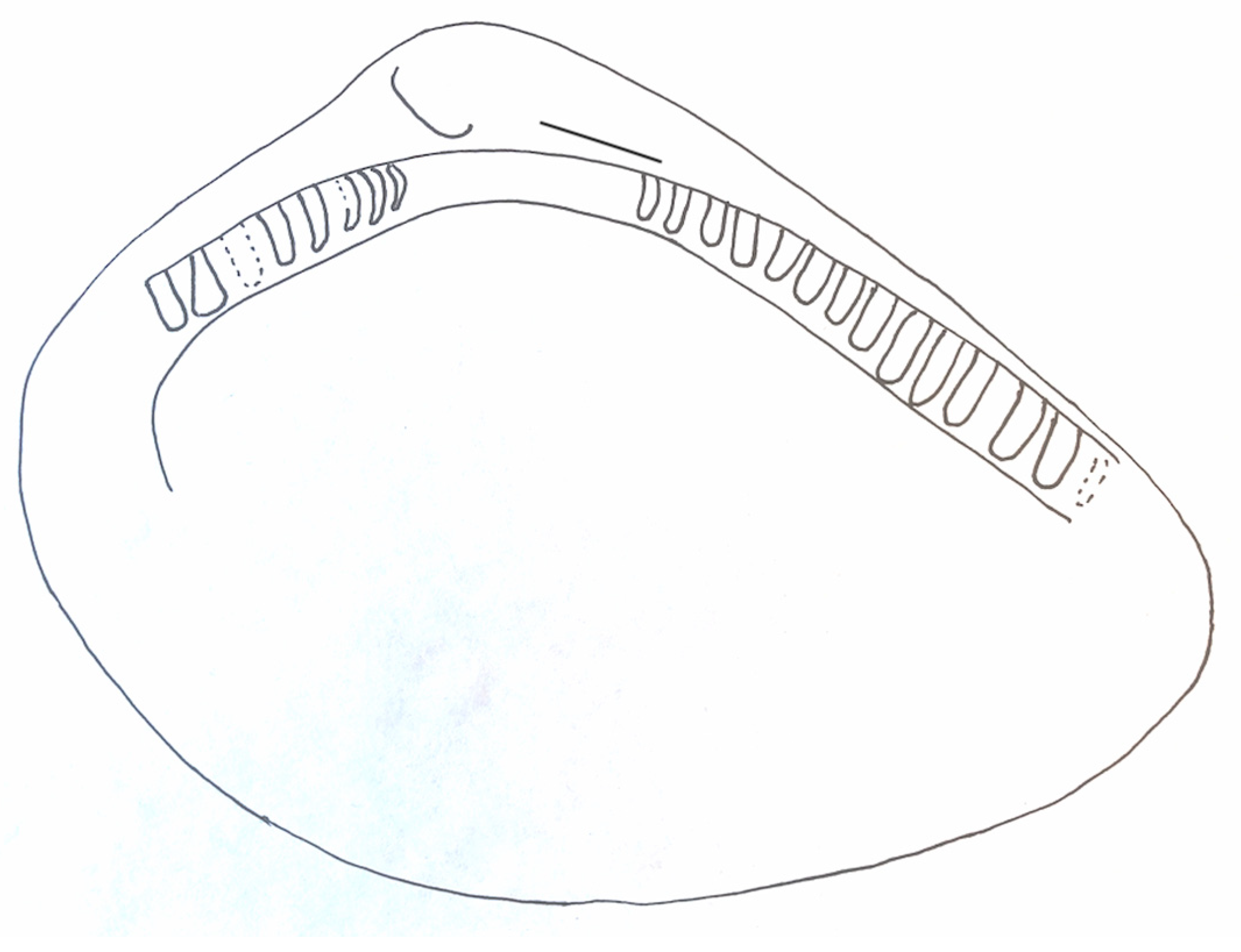 Geosciences 13 00080 g006