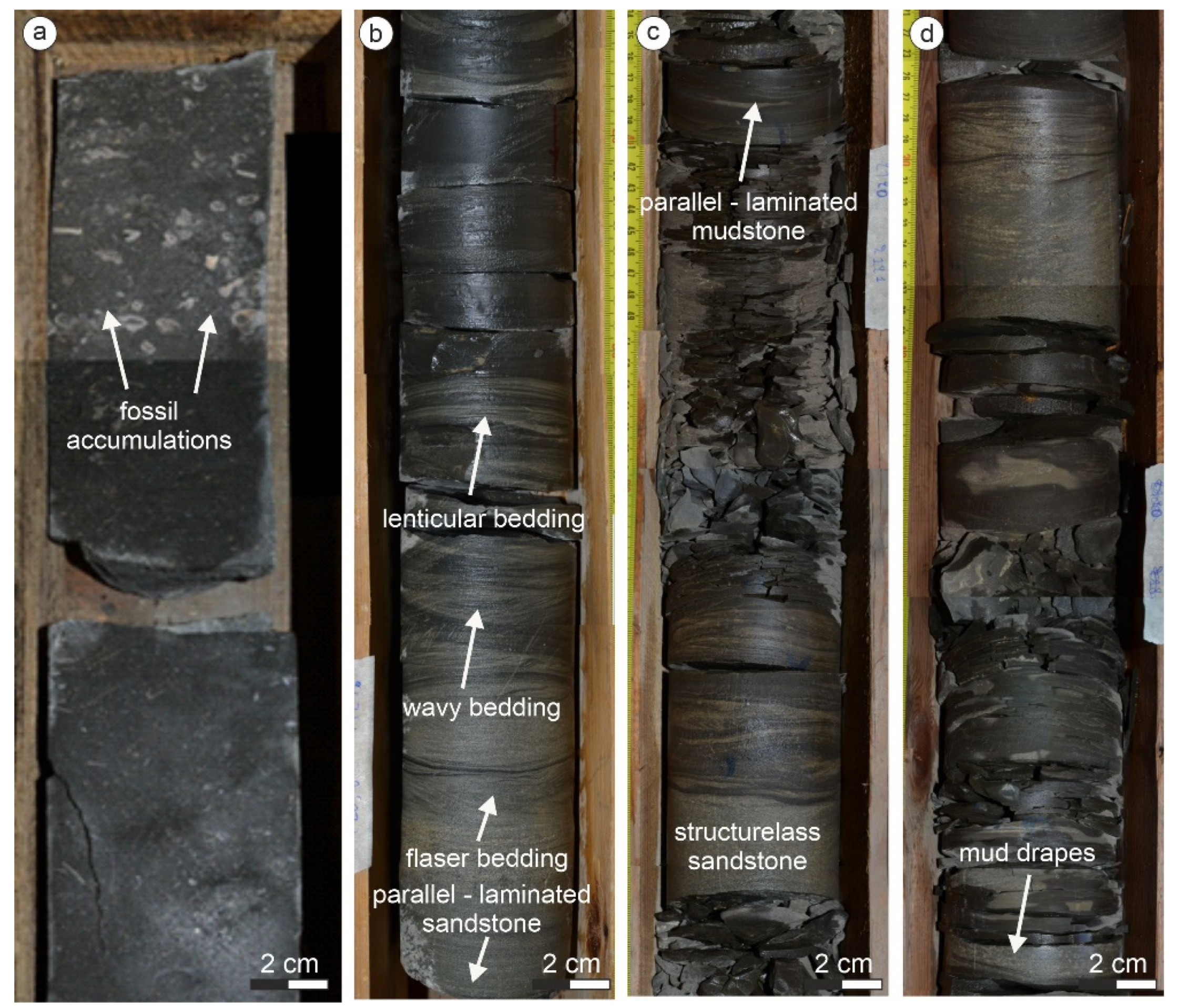Geosciences 13 00159 g003