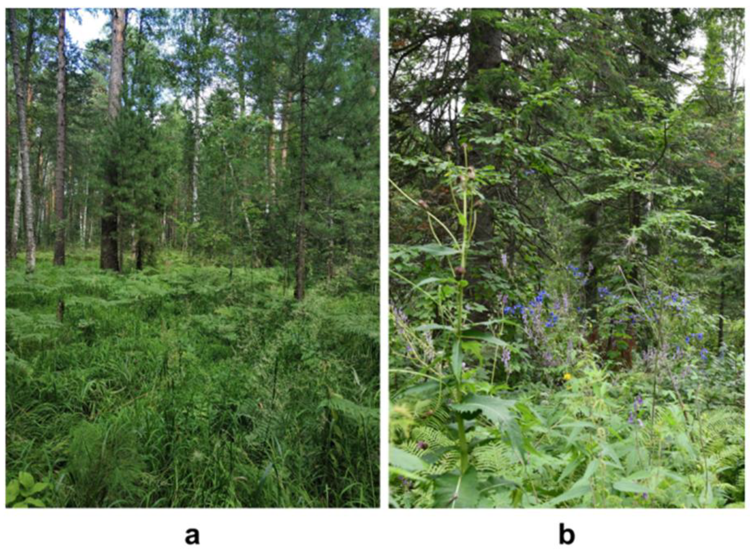 Geosciences 13 00186 g002 Geosciences 13 00186 g002