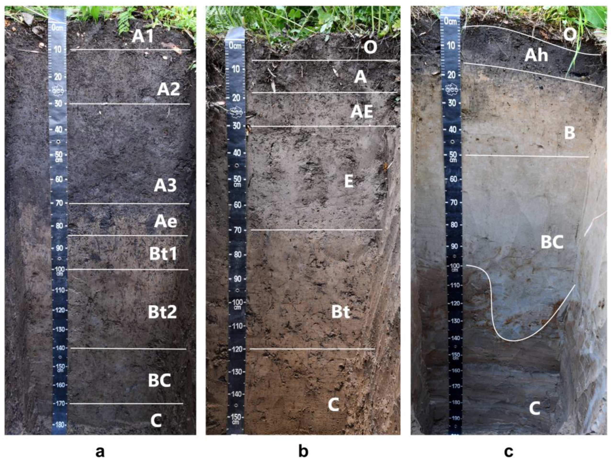 Geosciences 13 00186 g003 Geosciences 13 00186 g003