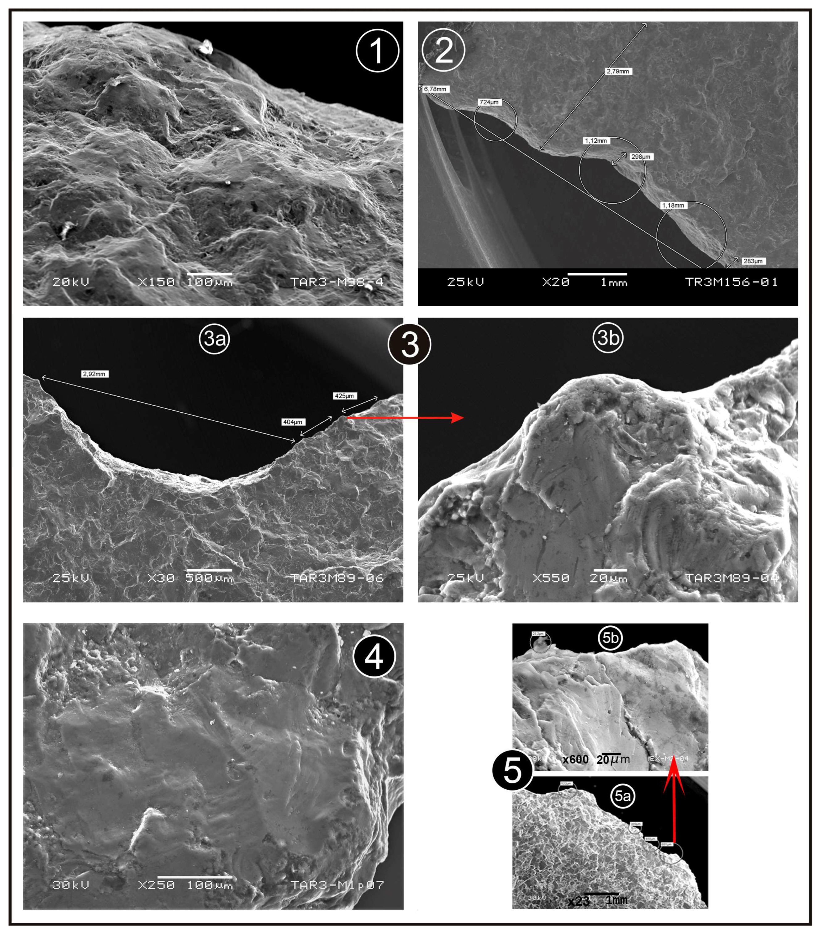 Geosciences 13 00206 g011