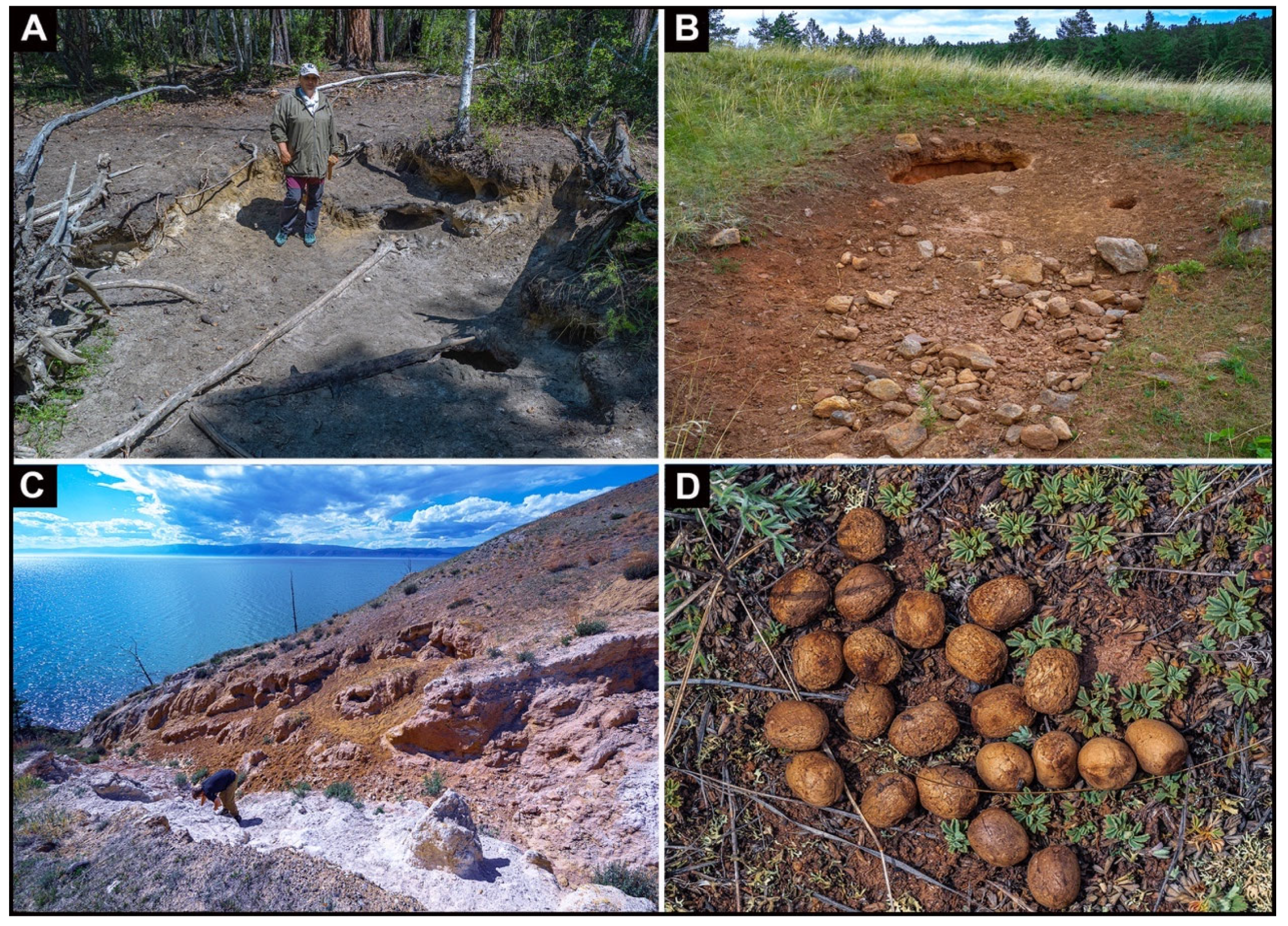 Geosciences 13 00211 g002