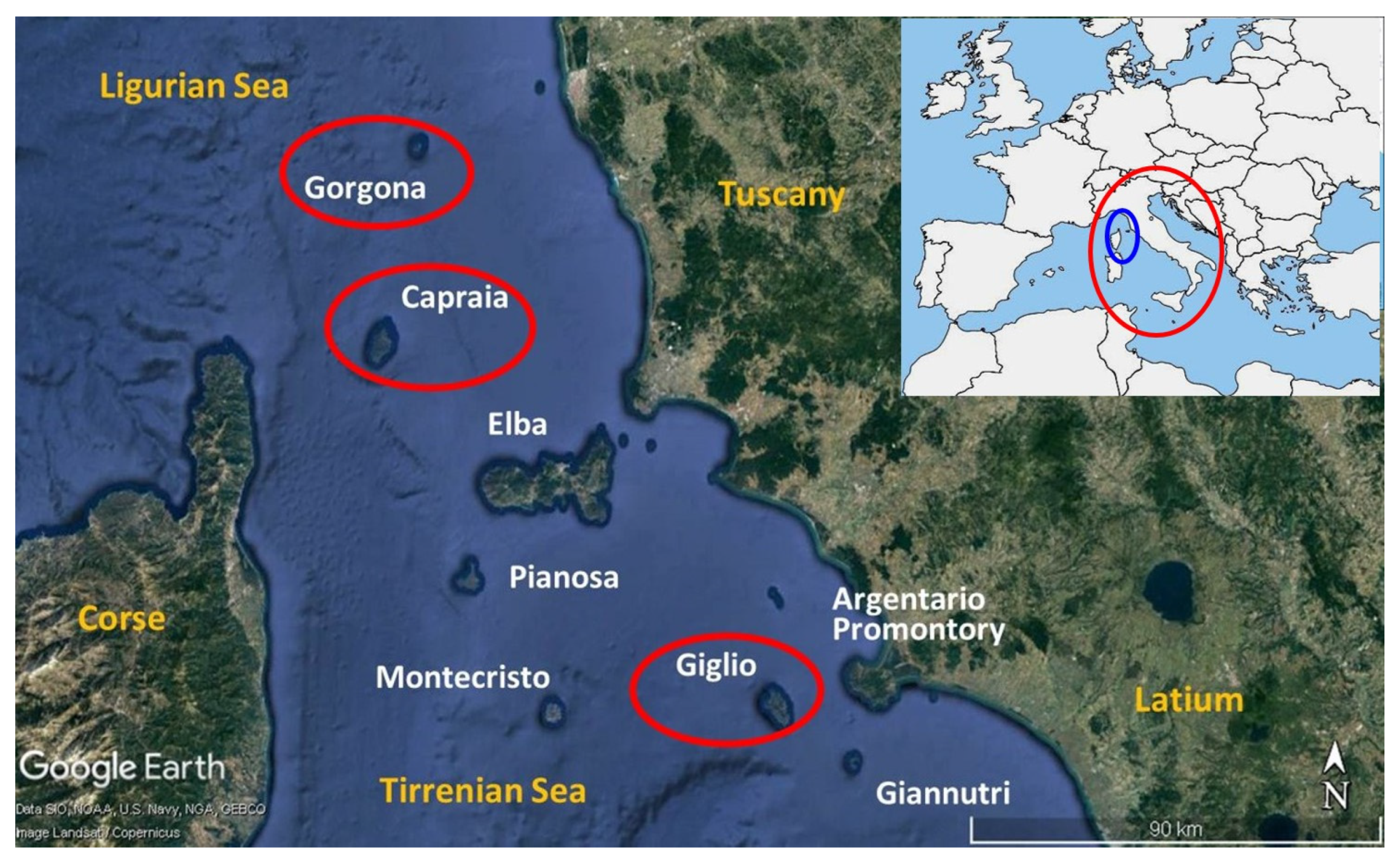 Geosciences 13 00214 g001