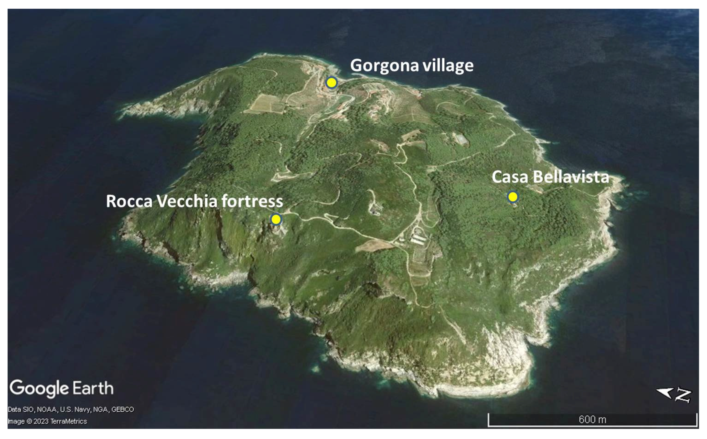 Geosciences 13 00214 g007