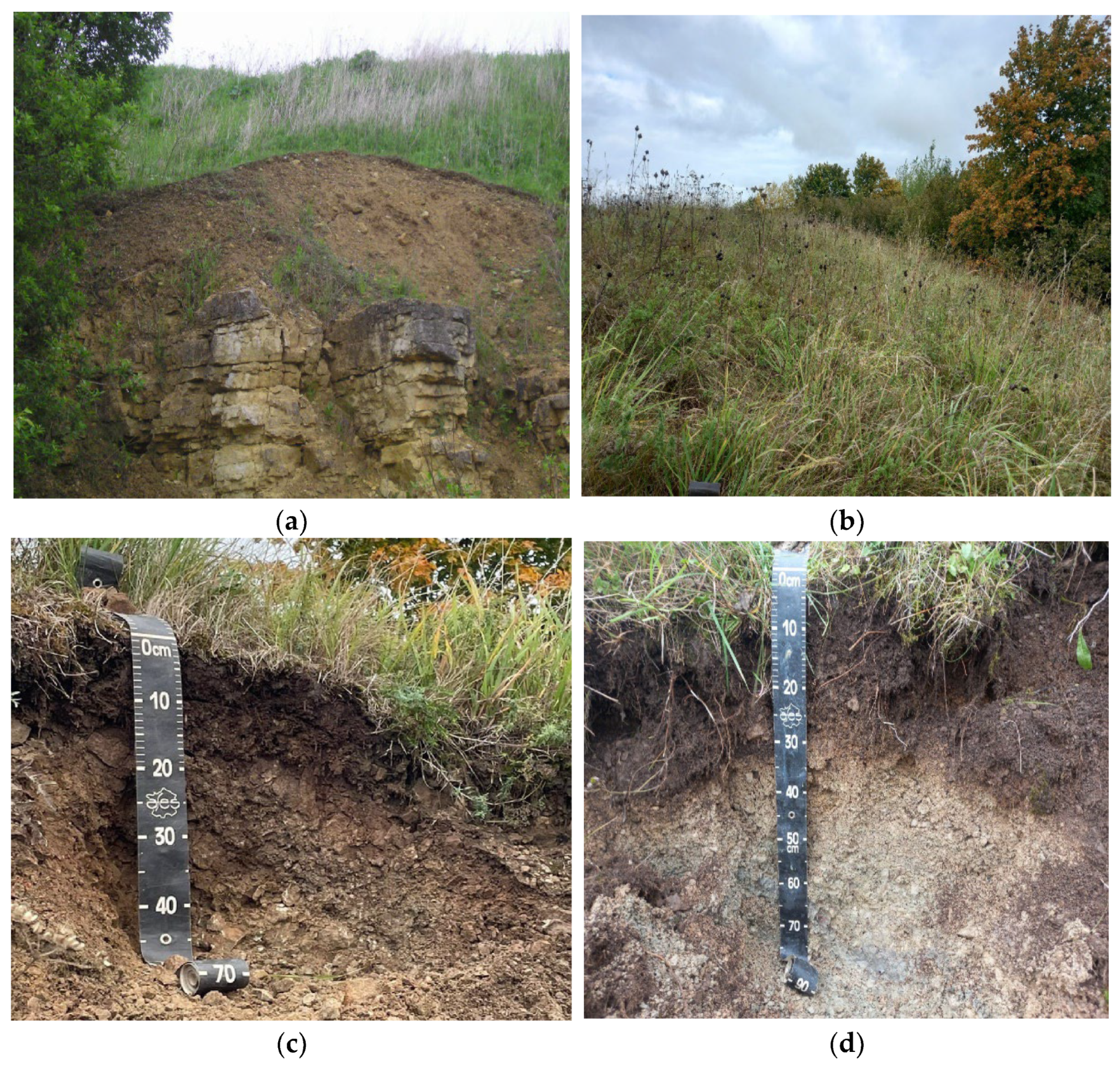 Geosciences 13 00216 g002a Geosciences 13 00216 g002a
