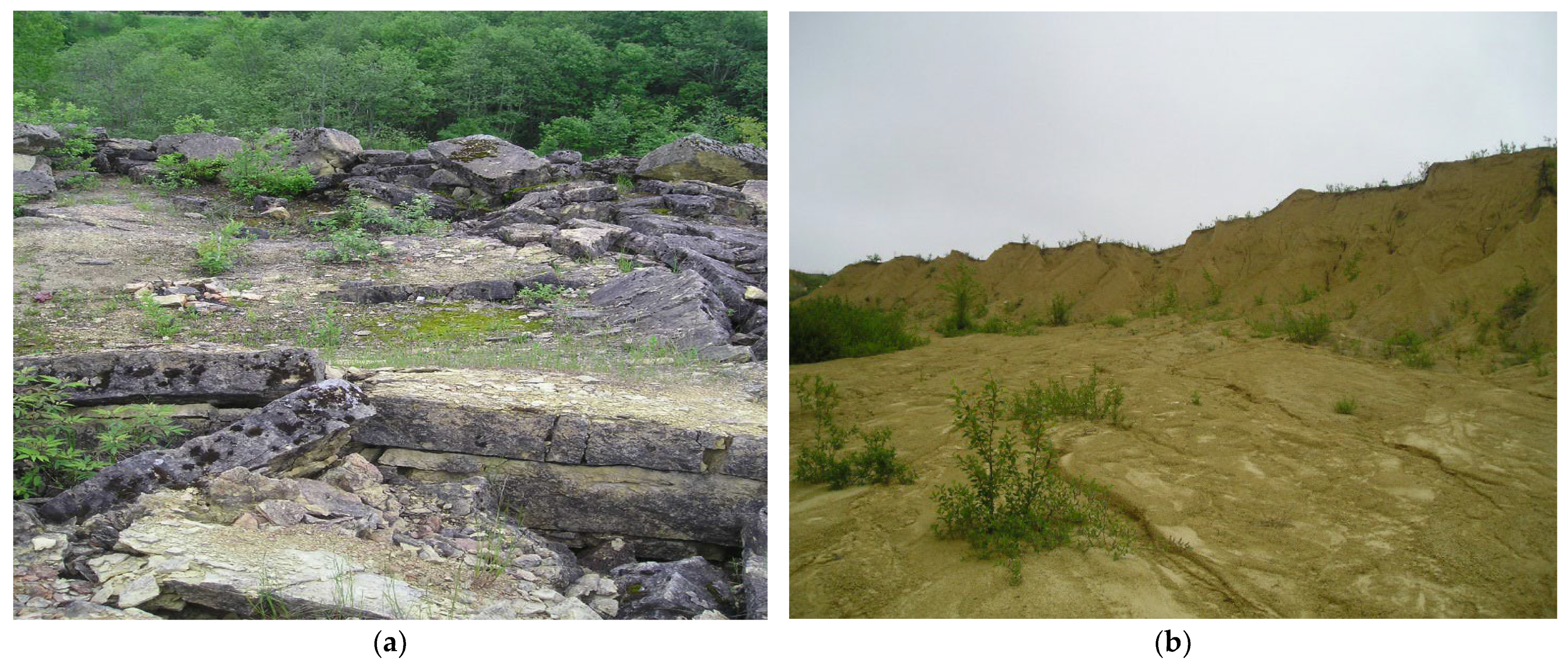 Geosciences 13 00216 g003a Geosciences 13 00216 g003a