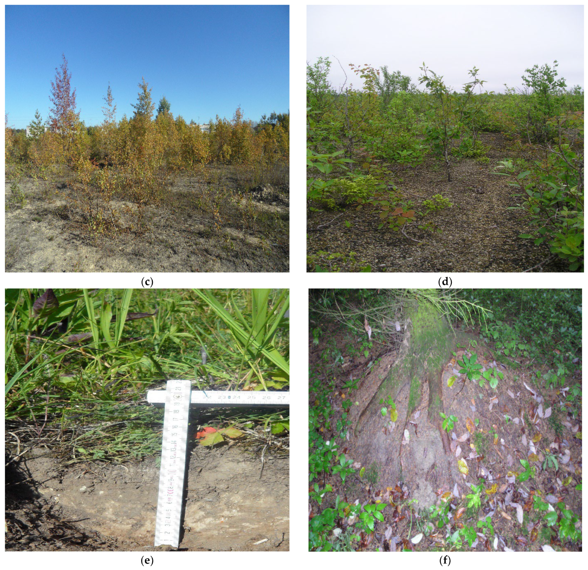 Geosciences 13 00216 g003b Geosciences 13 00216 g003b