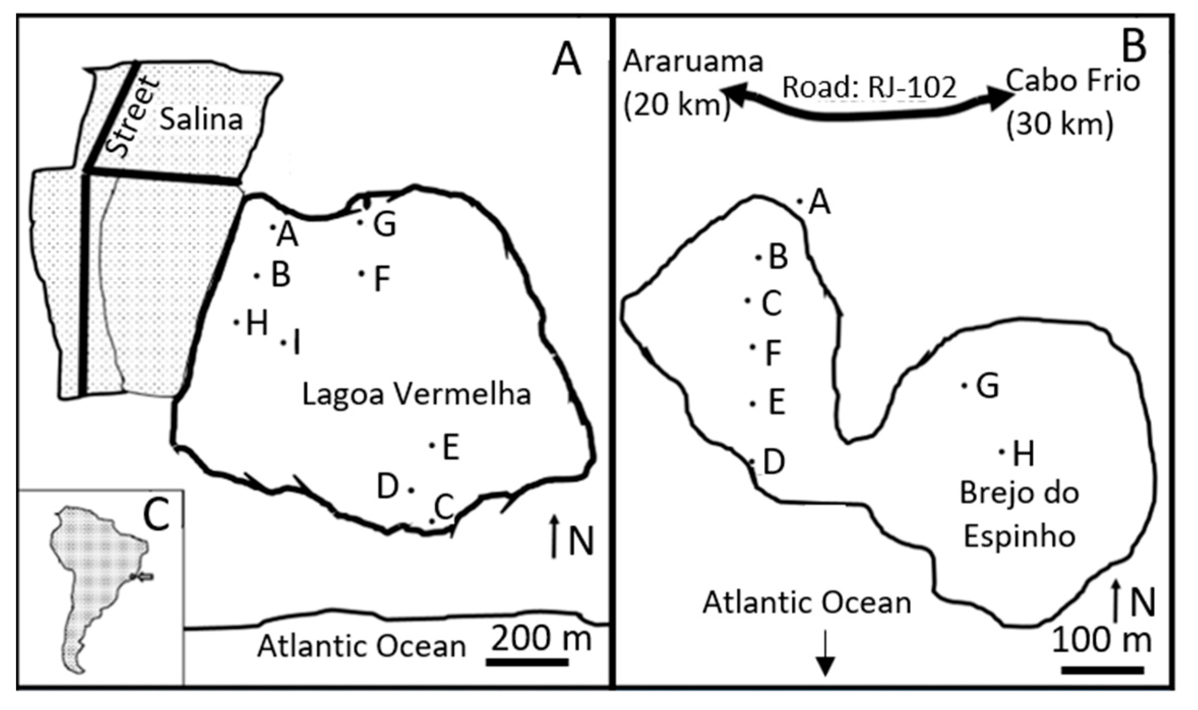 Geosciences 13 00229 g001 Geosciences 13 00229 g001