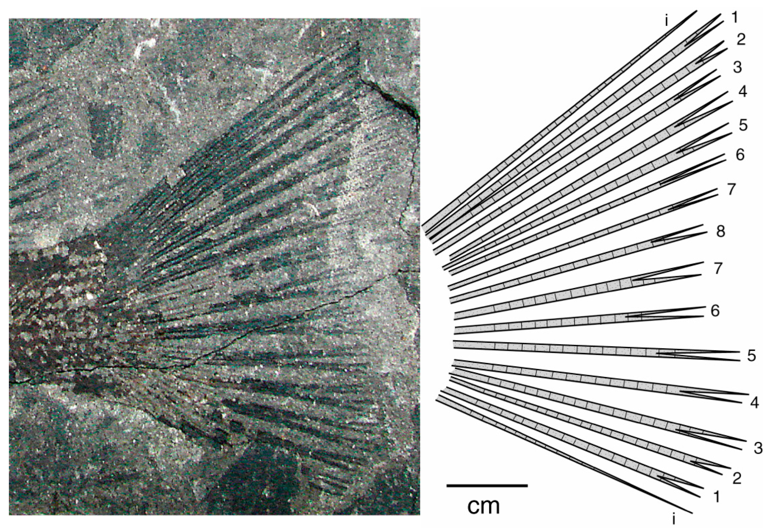 Geosciences 13 00255 g010