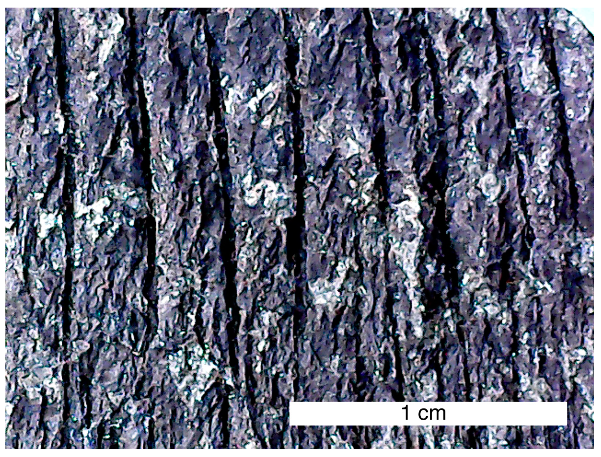 Geosciences 13 00255 g011