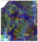 Geosciences 13 00263 i008