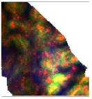 Geosciences 13 00263 i012