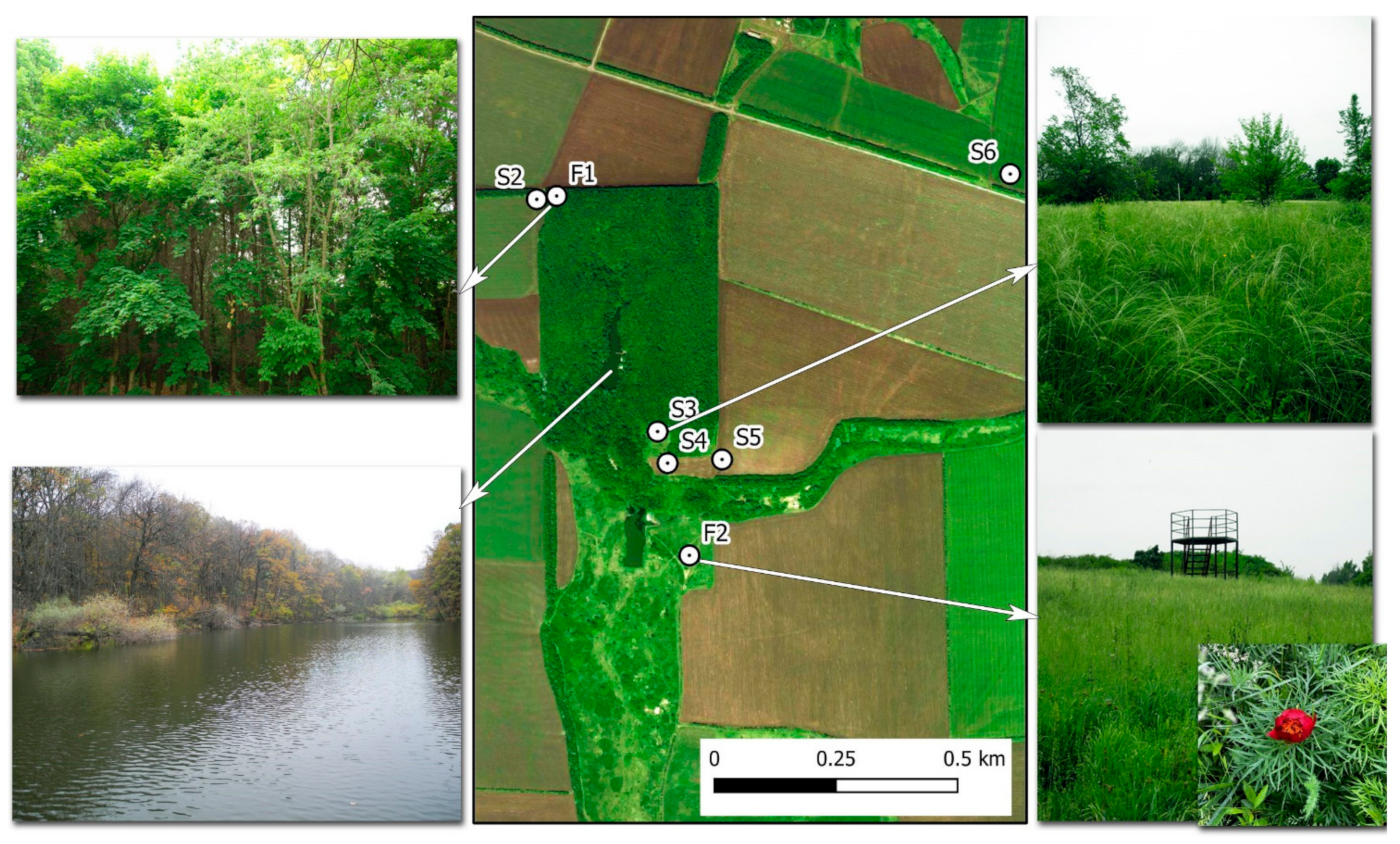 Geosciences 13 00278 g010