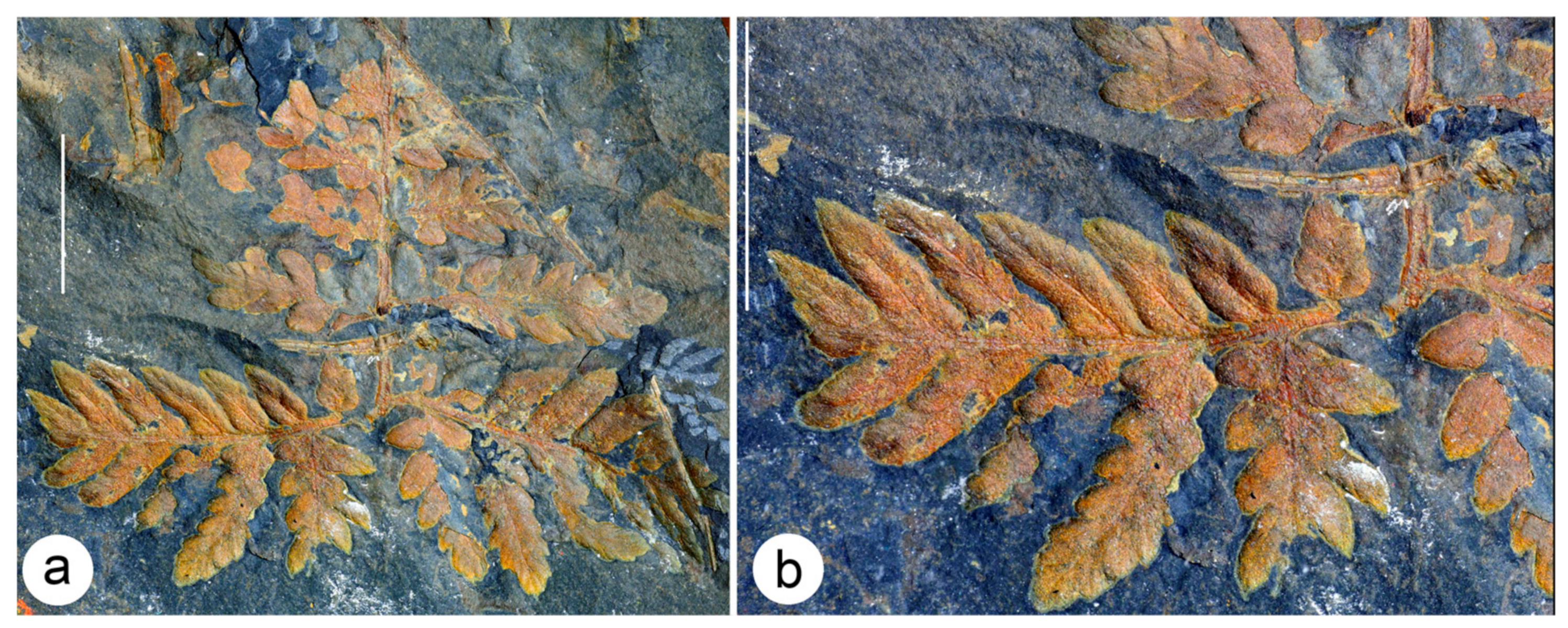 Geosciences 13 00279 g007