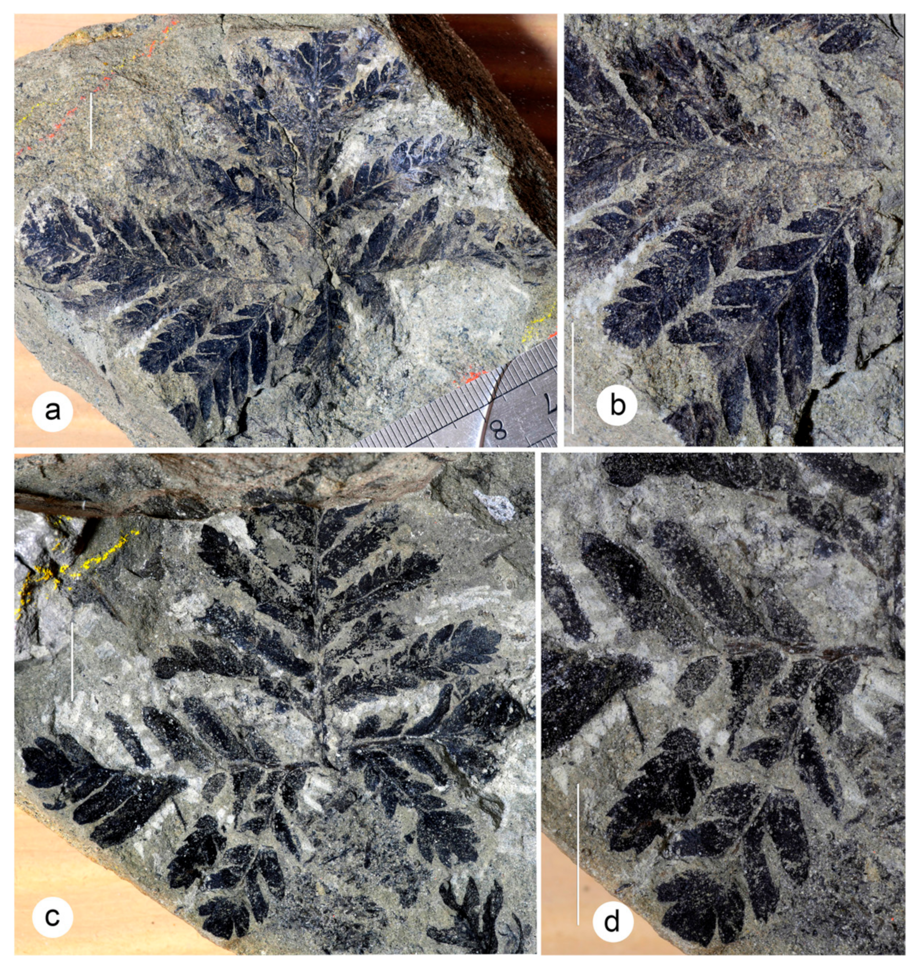 Geosciences 13 00279 g008