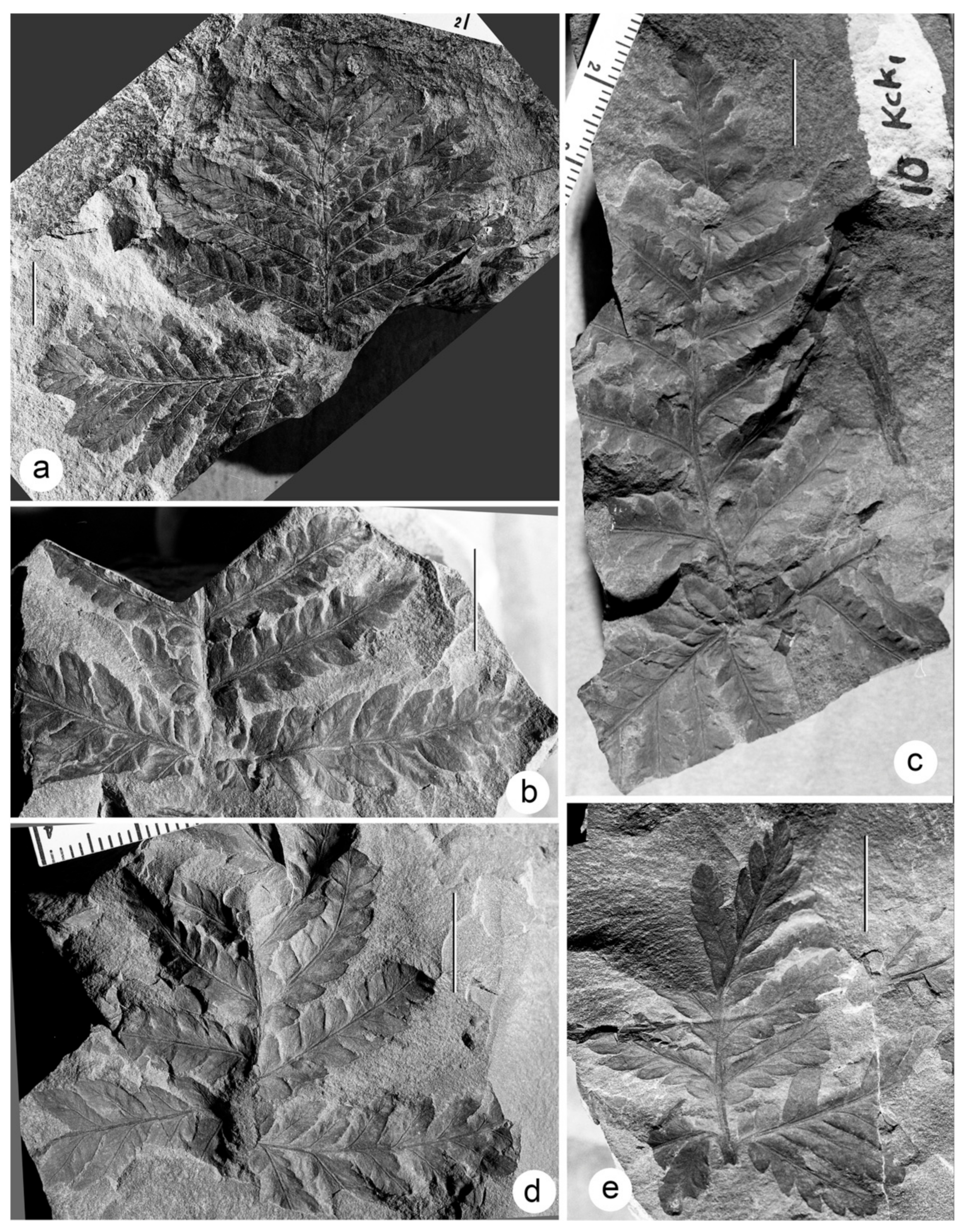 Geosciences 13 00279 g009