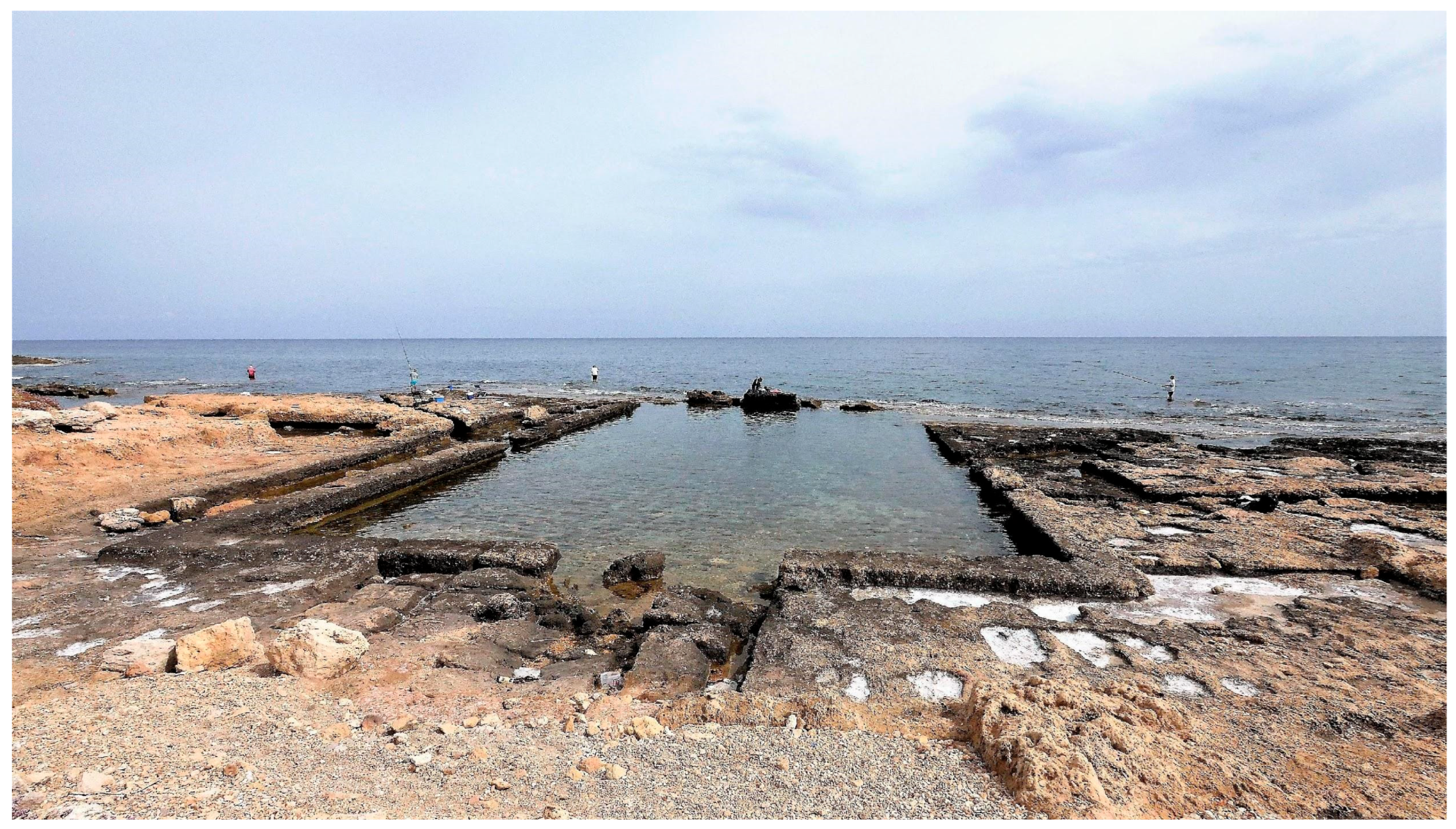 Geosciences 13 00280 g005