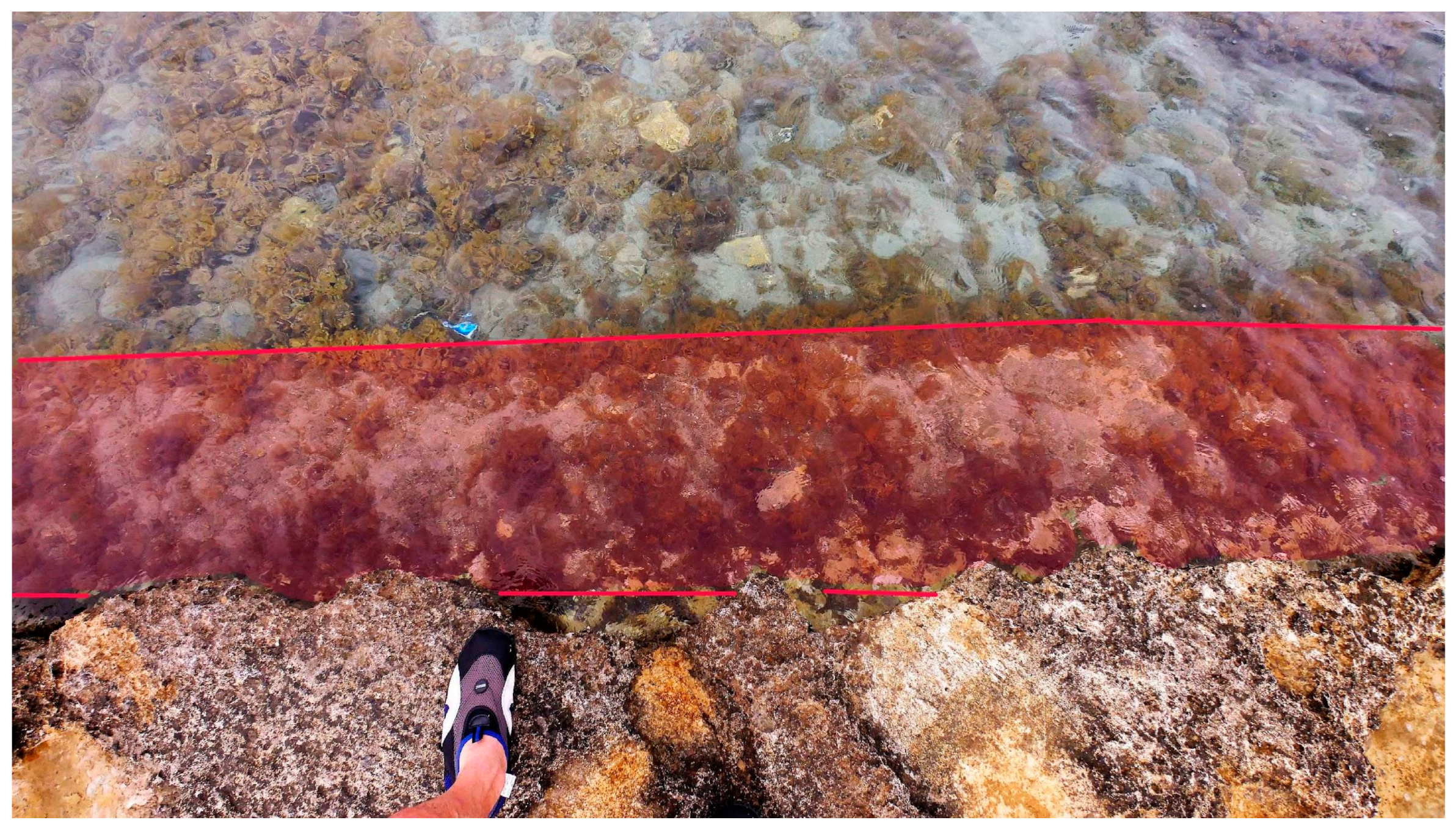 Geosciences 13 00280 g009