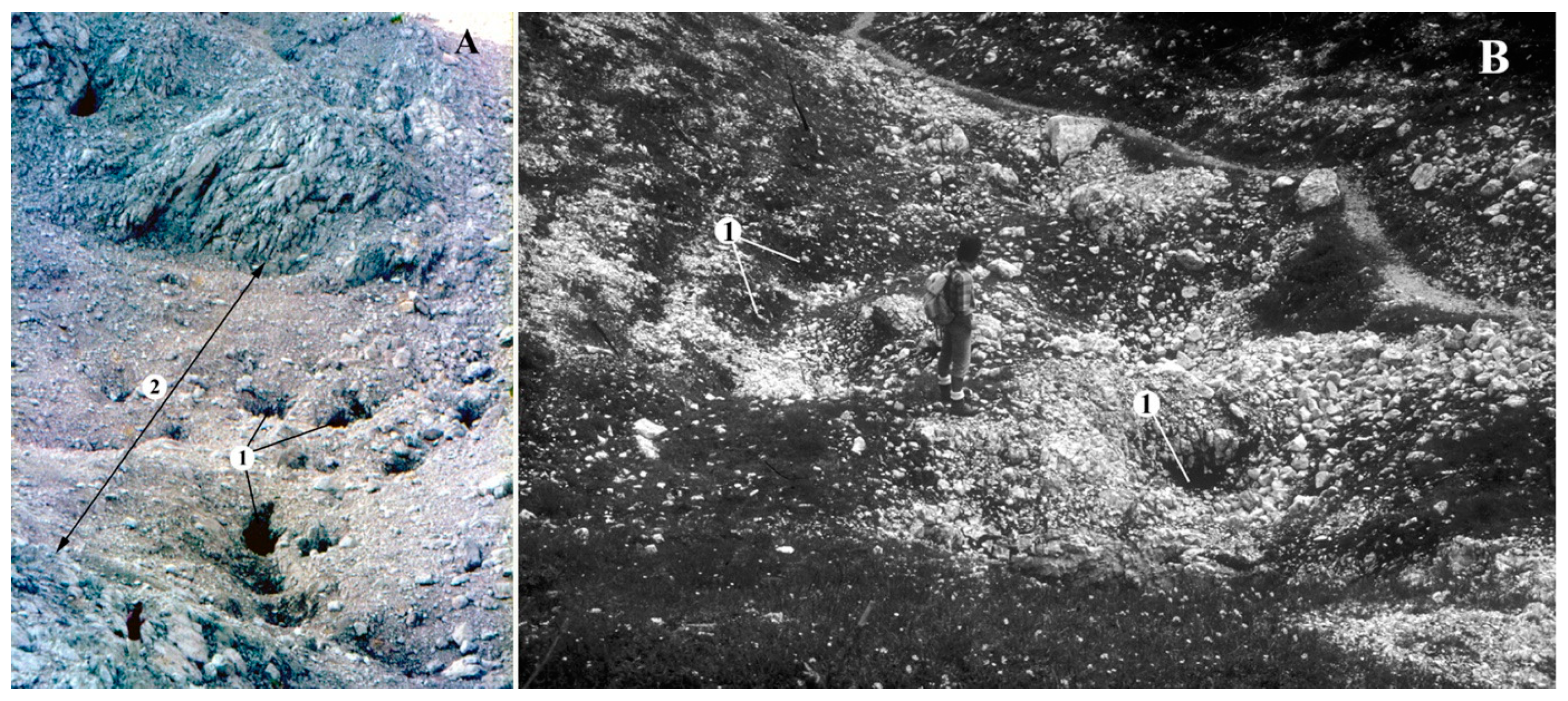 Geosciences 13 00308 g007