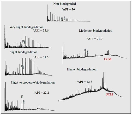 Geochemical Biodegraded Oil Classification Using a Machine 