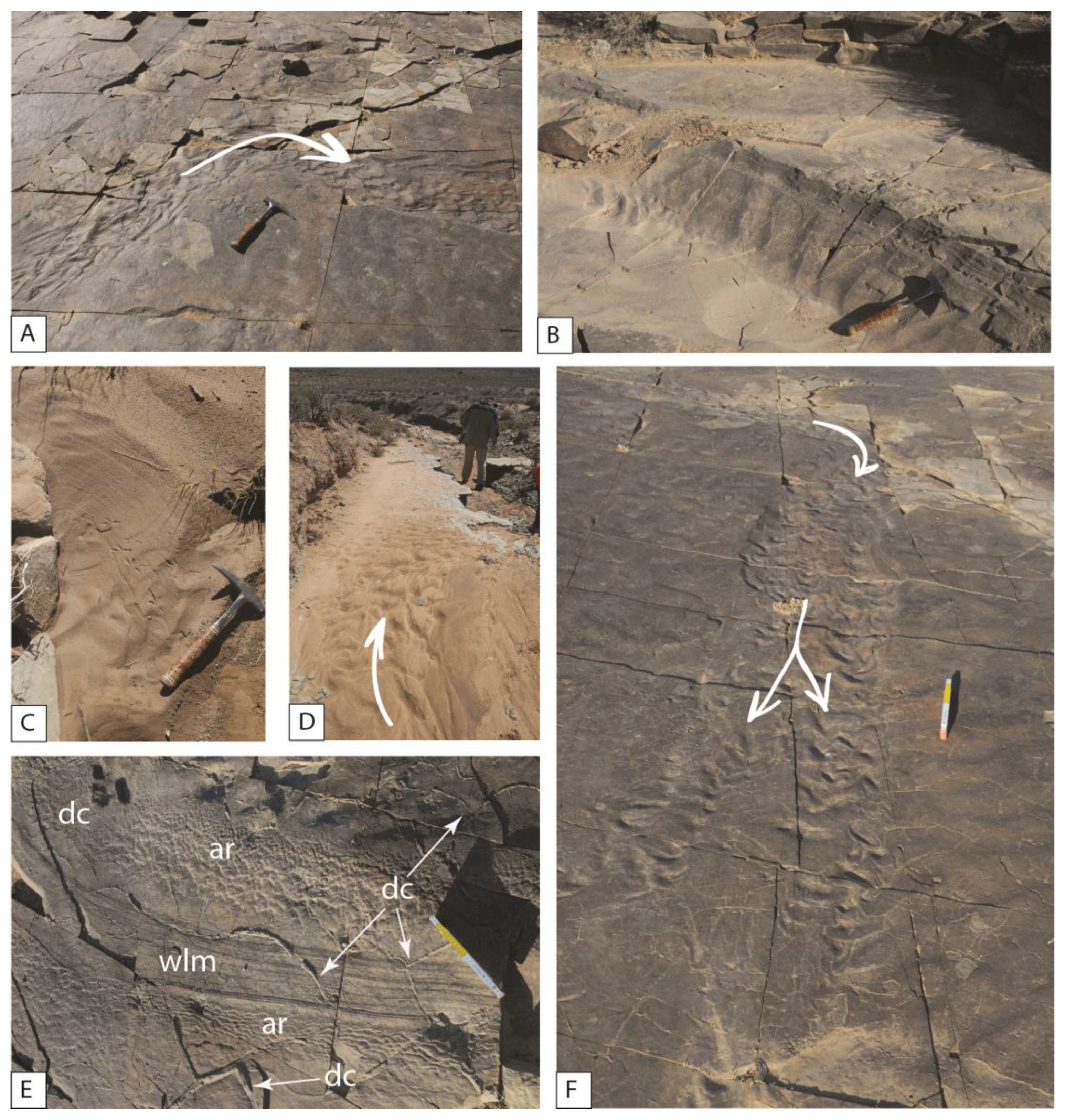 Geosciences 13 00325 g003