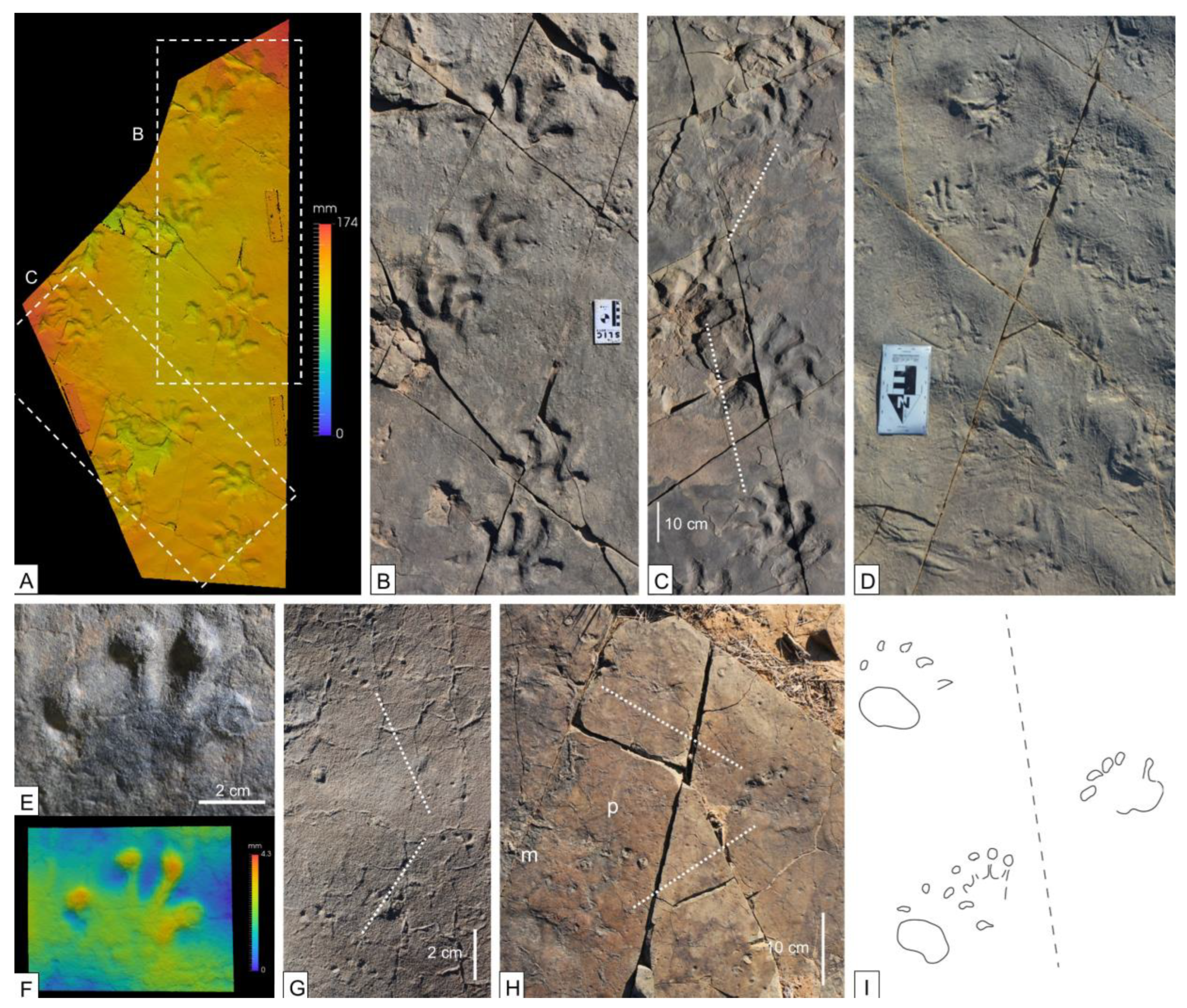 Geosciences 13 00325 g006