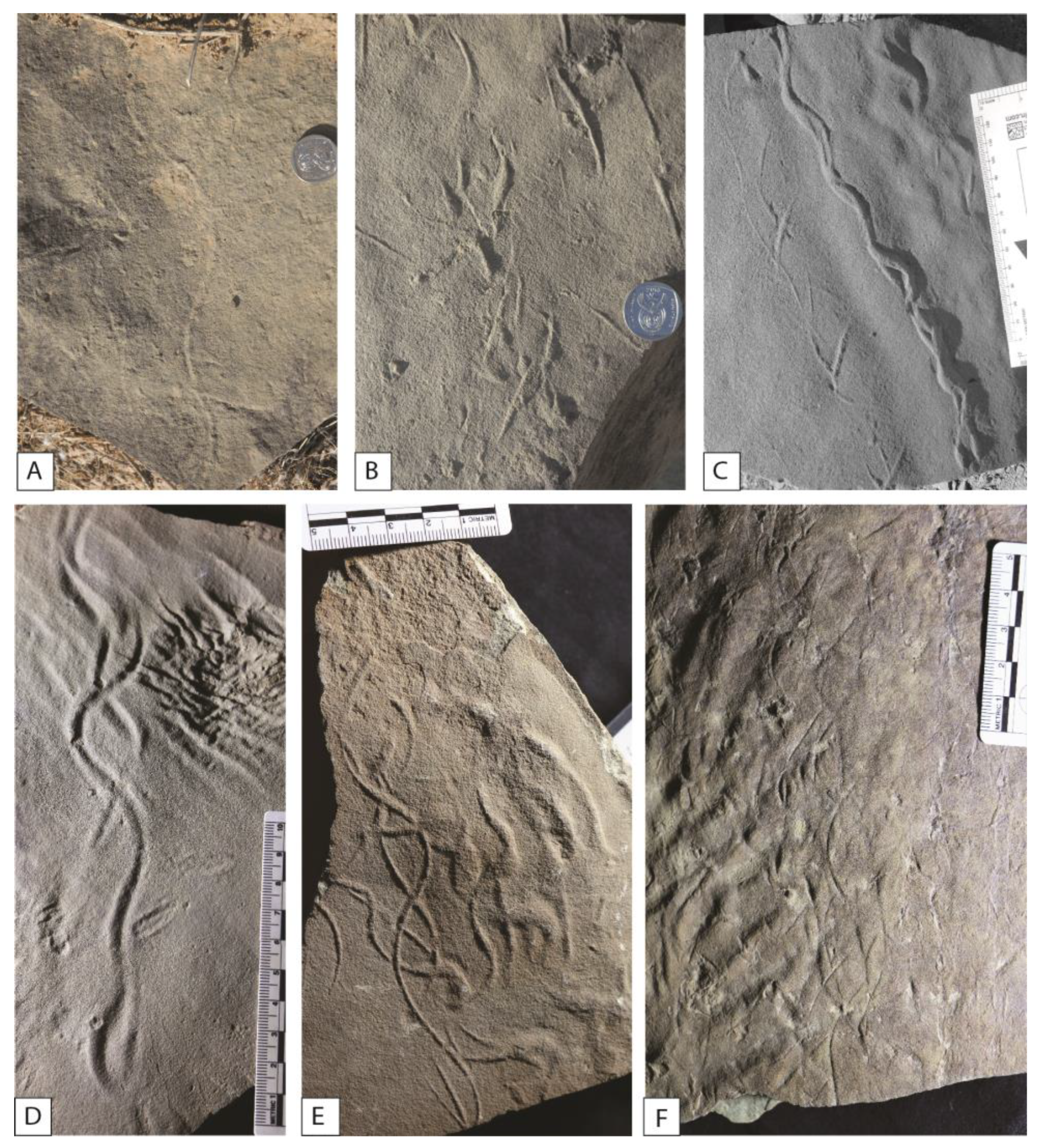 Geosciences 13 00325 g007