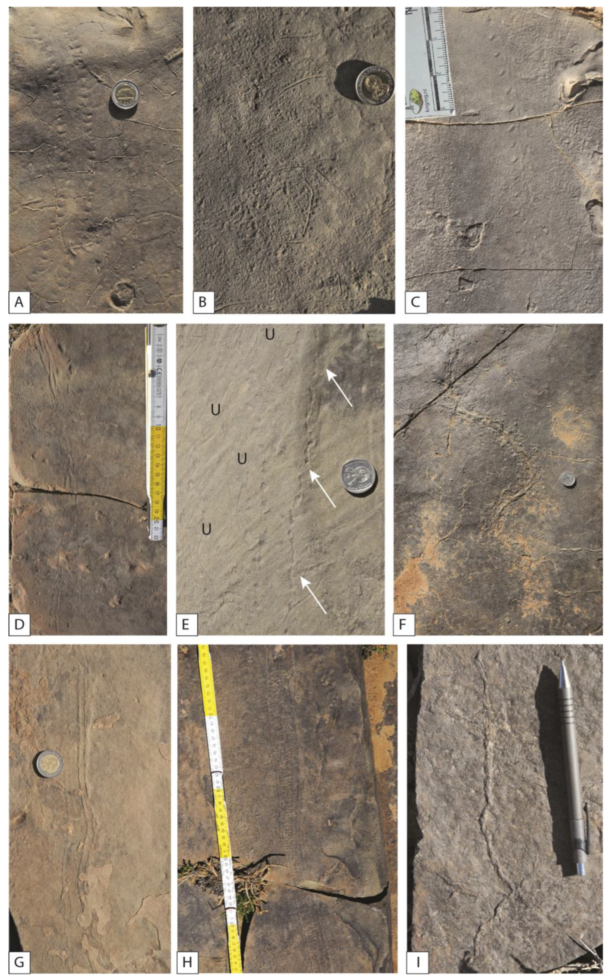 Geosciences 13 00325 g008