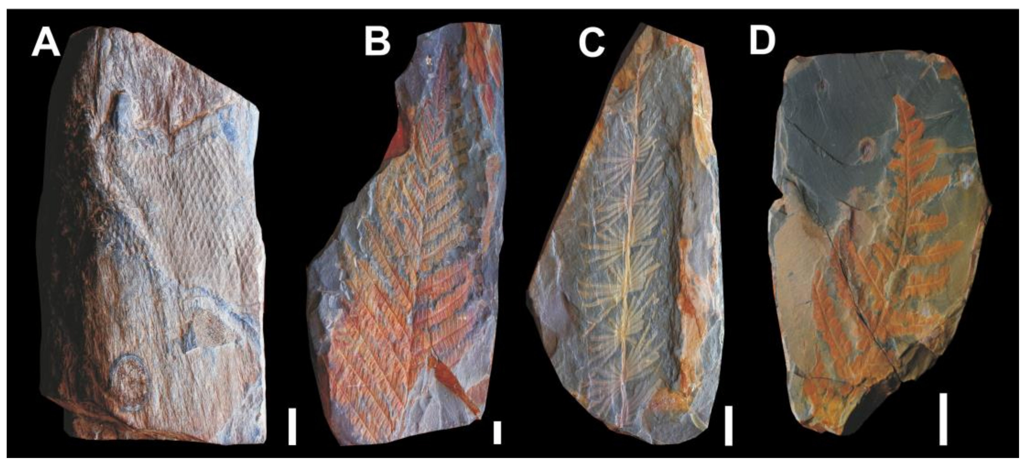 Geosciences 13 00332 g004 Geosciences 13 00332 g004