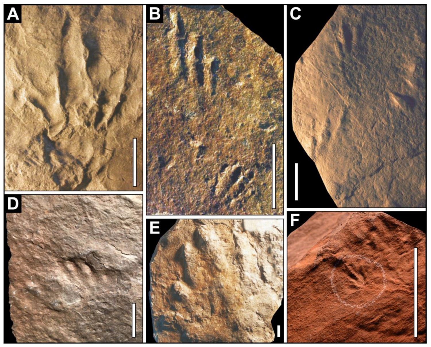 Geosciences 13 00332 g005 Geosciences 13 00332 g005
