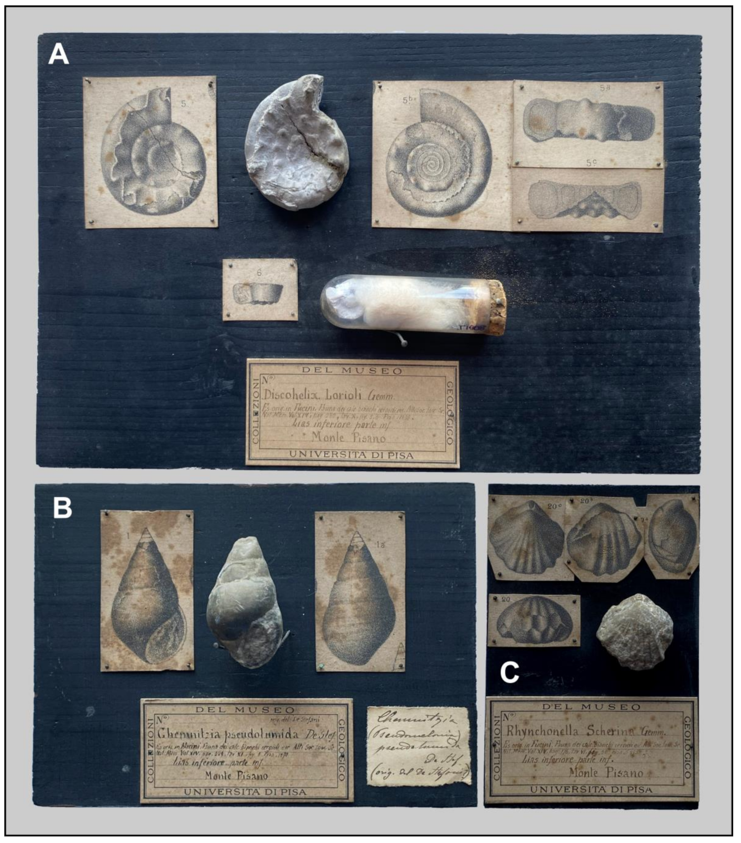 Geosciences 13 00332 g007 Geosciences 13 00332 g007